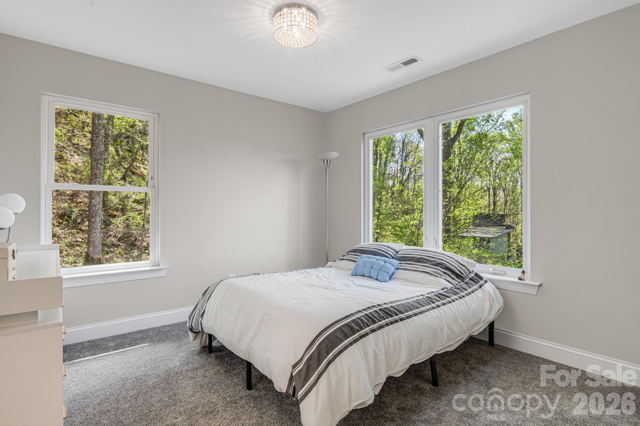 Chestnut Mountain - Residential