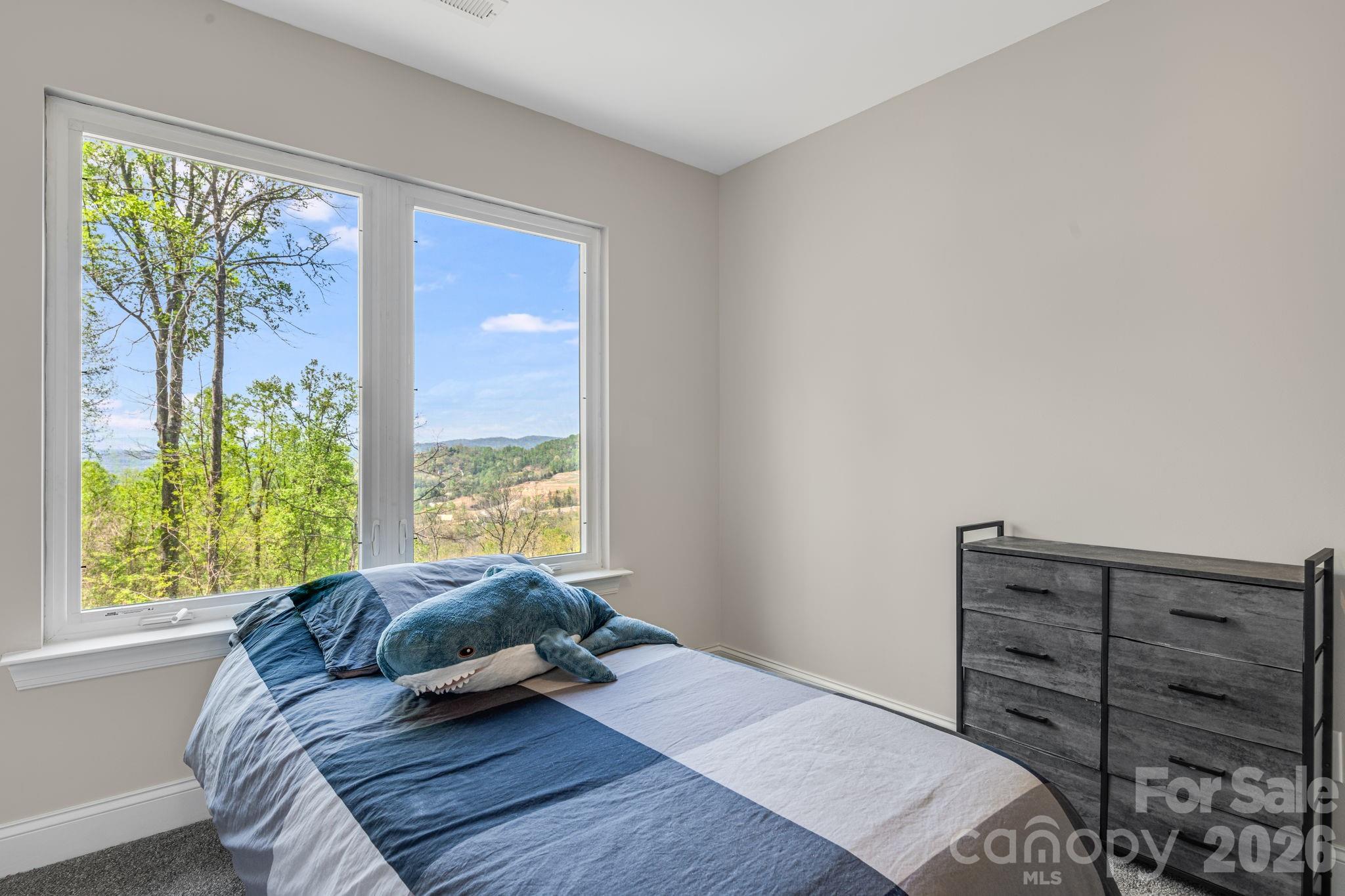 Chestnut Mountain - Residential