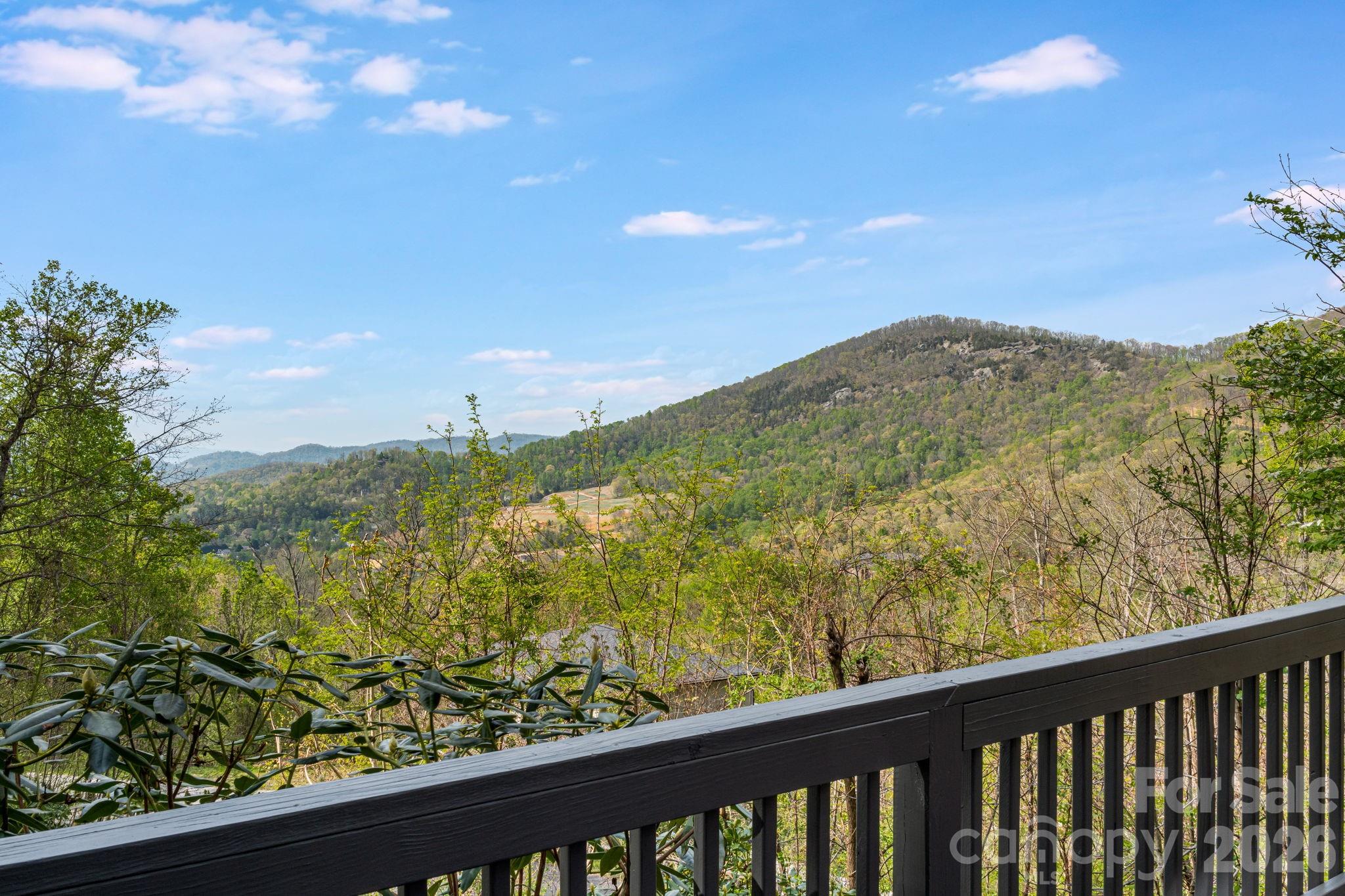 Chestnut Mountain - Residential