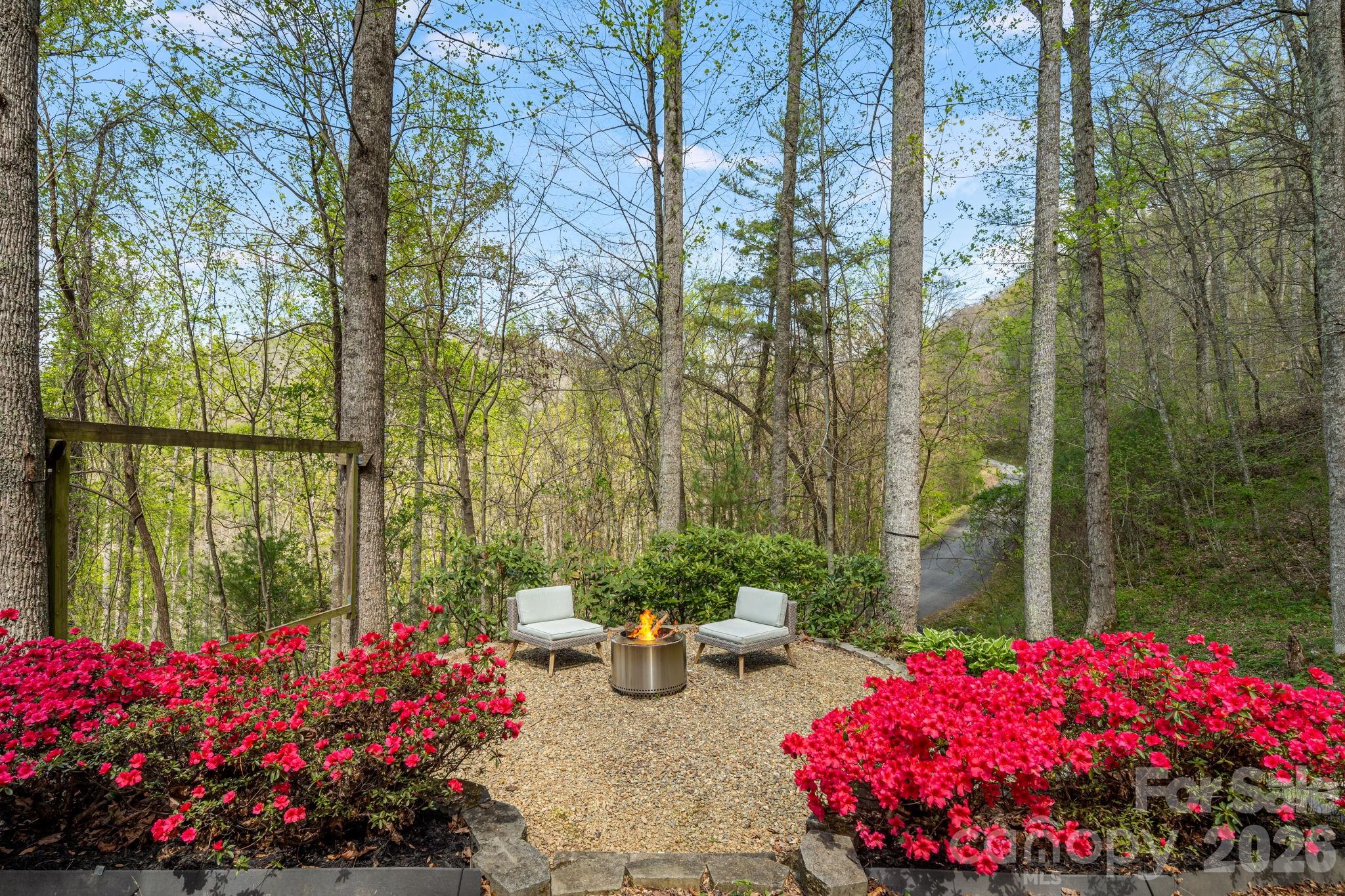 Chestnut Mountain - Residential