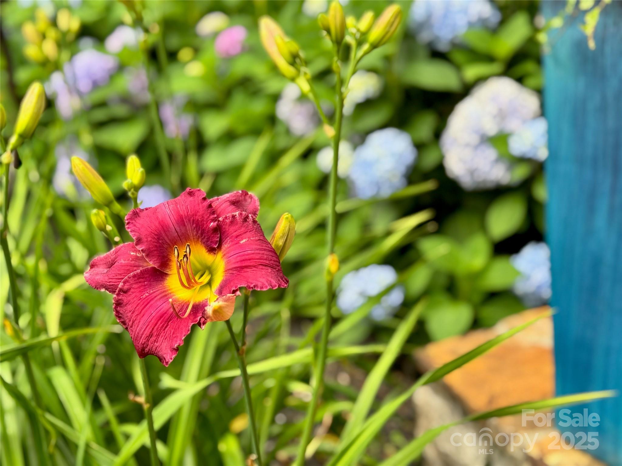 Crest Mountain - Residential