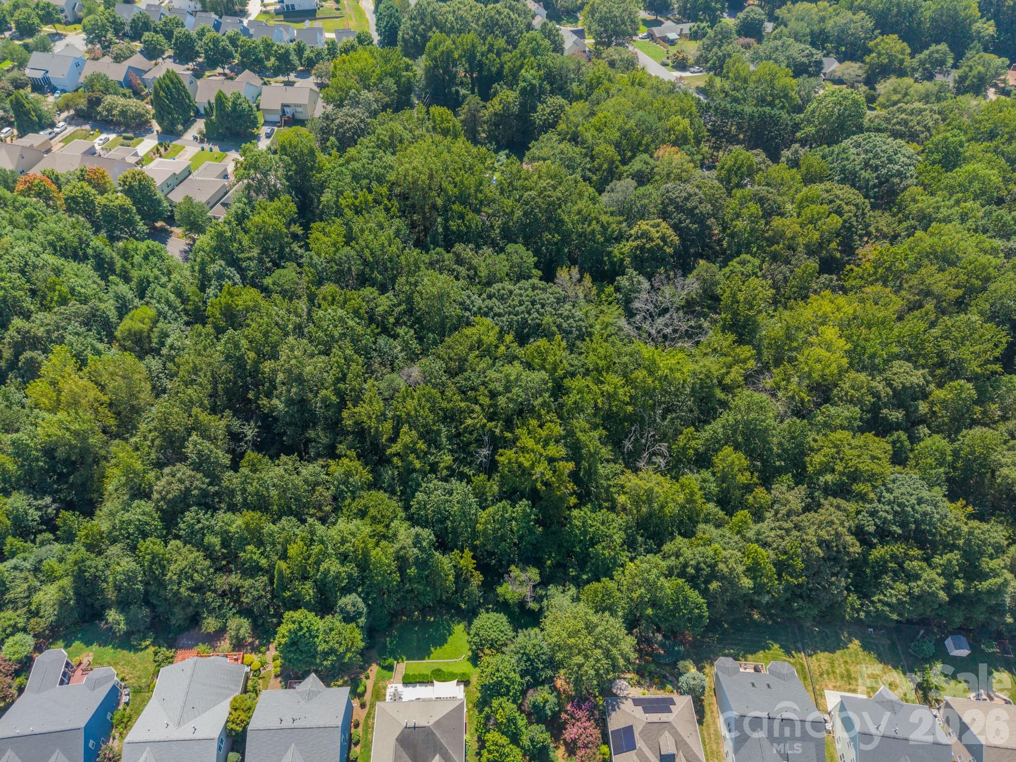 0 Phyliss Lane