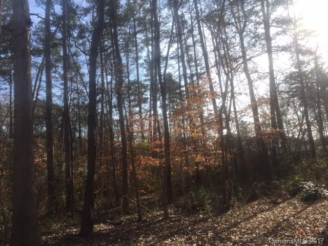 Edinborough Woods - Land