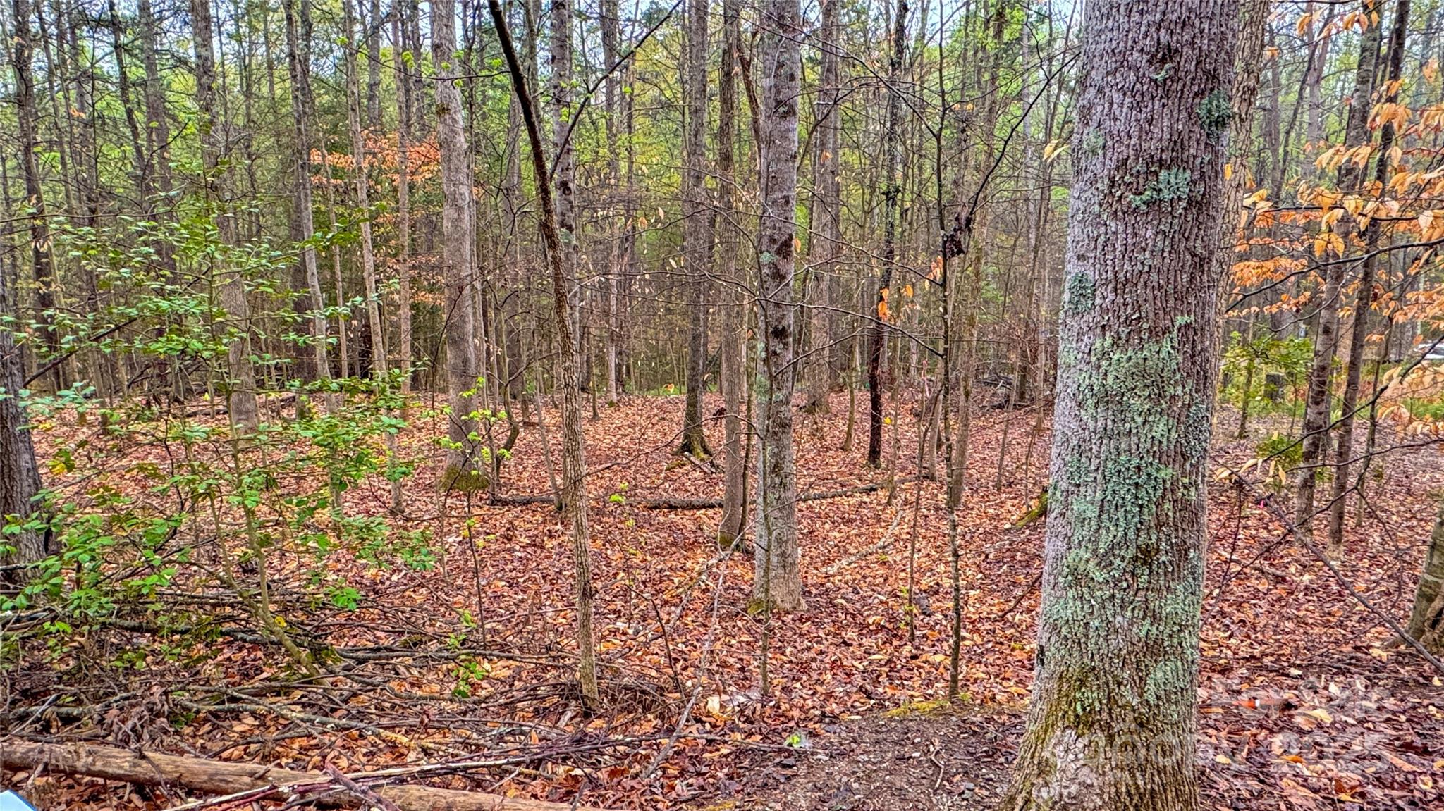 447 Hopewell Church Road