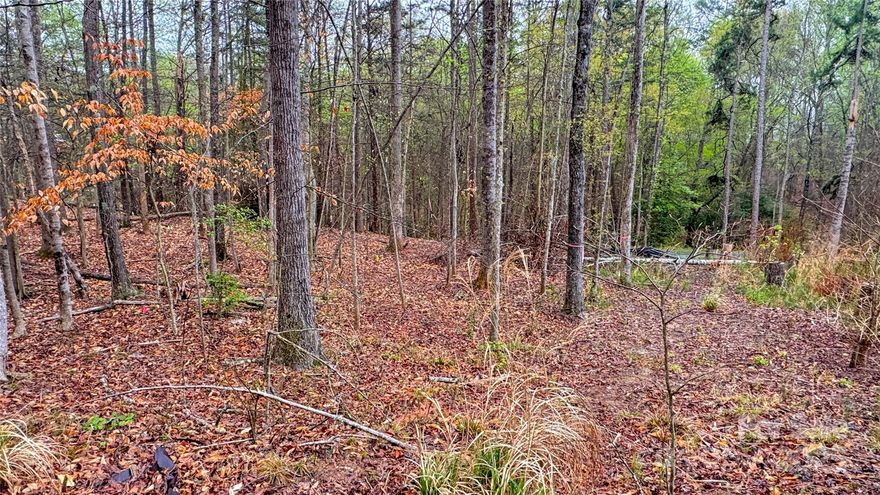 Beautiful build lot in The Summit at Lake Norman! This gently sloping, wooded property offers the perfect blend of privacy and natural beauty, making it an ideal setting for your dream home. Located along a quiet, paved road in an established community, this lot invites you to enjoy peaceful surroundings while staying just minutes from all that Lake Norman has to offer. Whether you're looking for a weekend retreat or a full-time residence, this is a rare opportunity to own land in one of the area's most sought-after neighborhoods. Don't miss your chance to make this slice of Carolina yours!