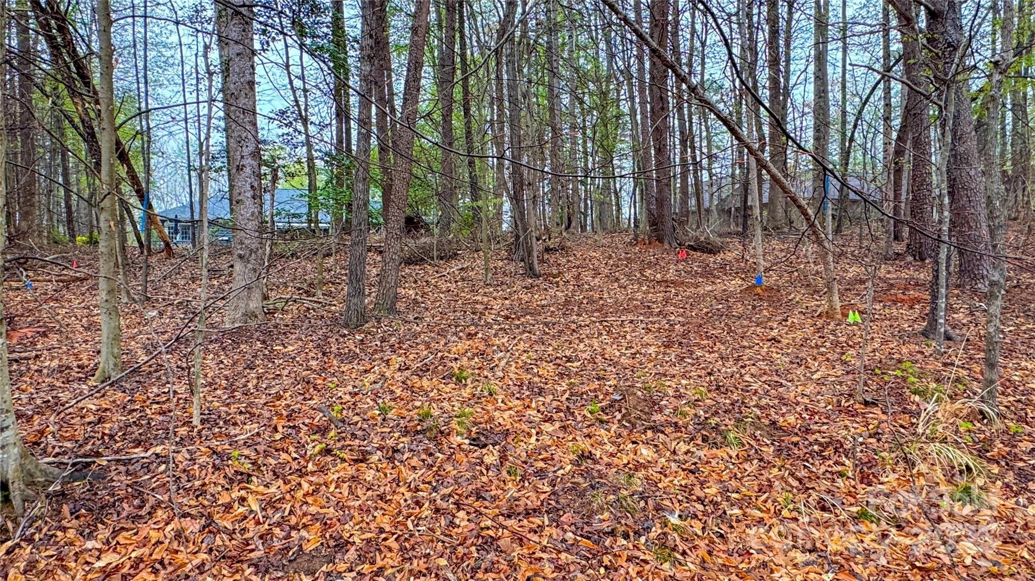 447 Hopewell Church Road