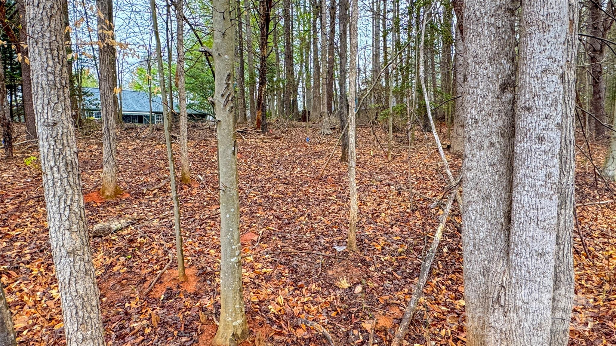 447 Hopewell Church Road