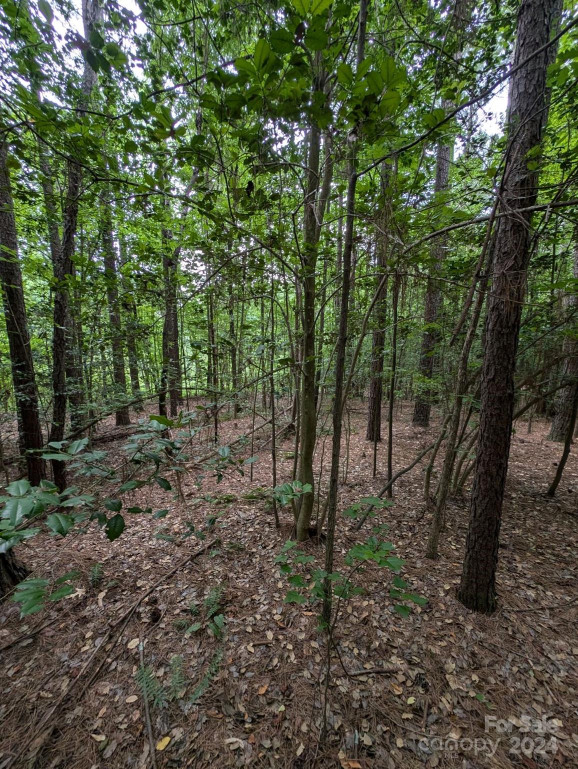 00 Tallwood Drive #34A