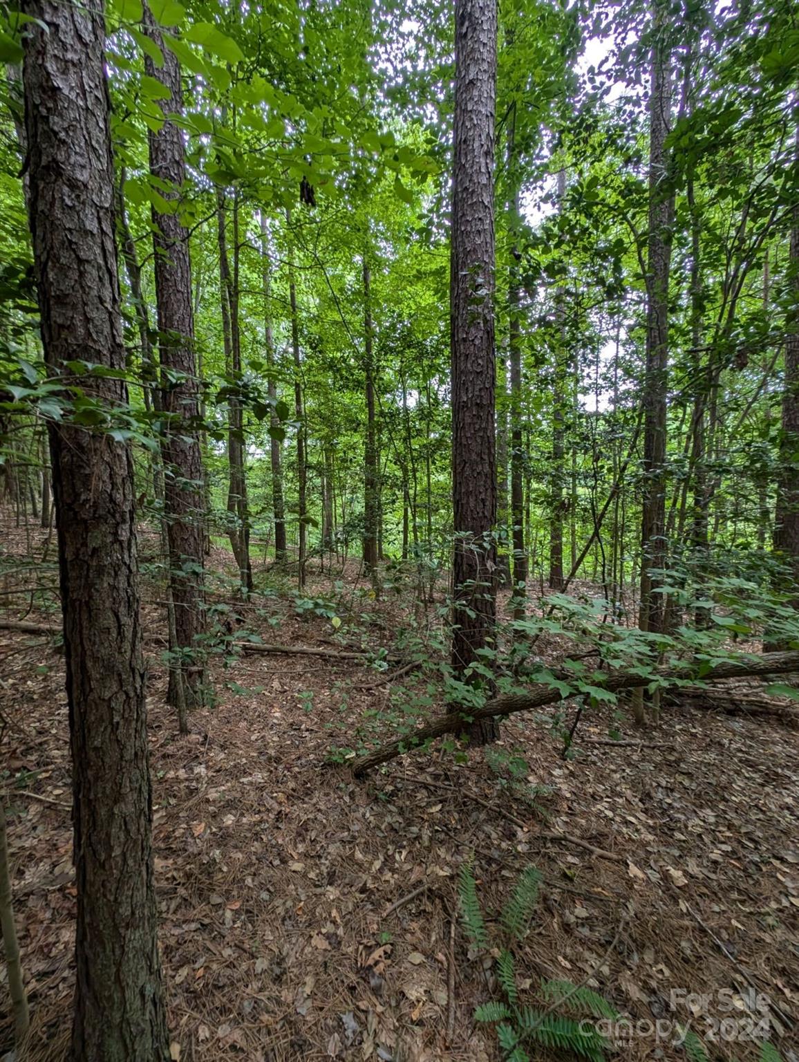 00 Tallwood Drive #34A