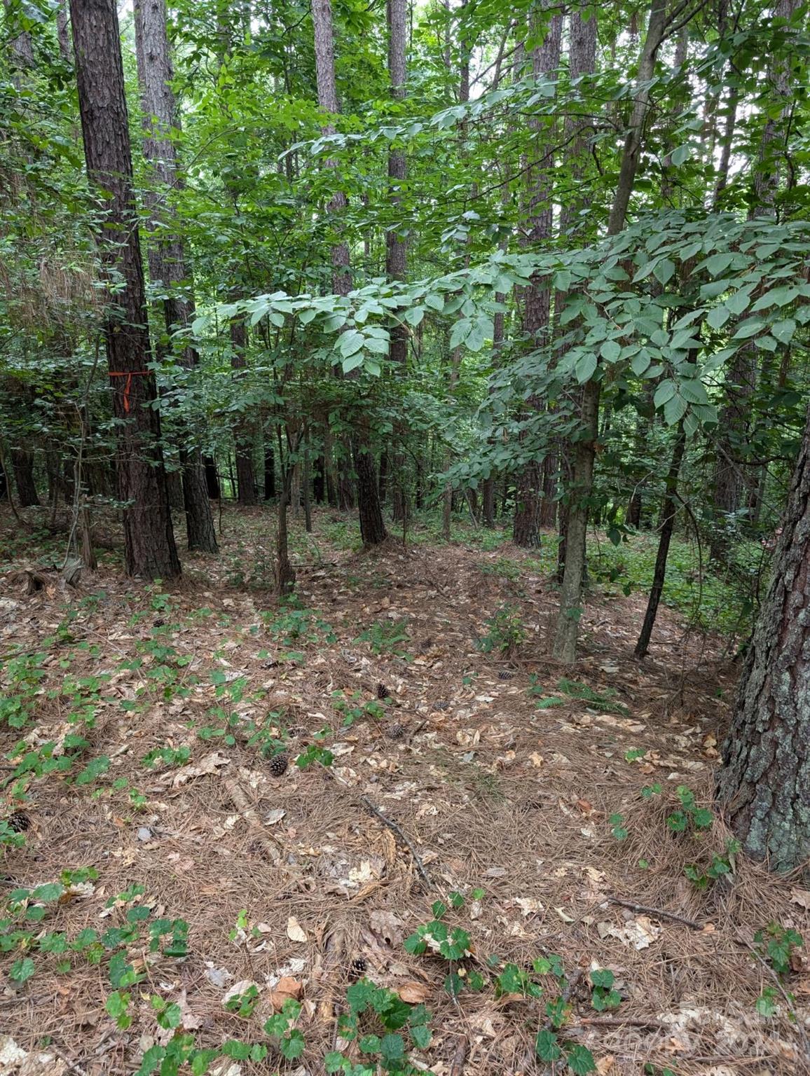 00 Tallwood Drive #34A