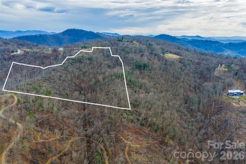 Photo of 99999 Elk Mountain Scenic Highway #2, Asheville, NC 28804 (MLS # 4341834)