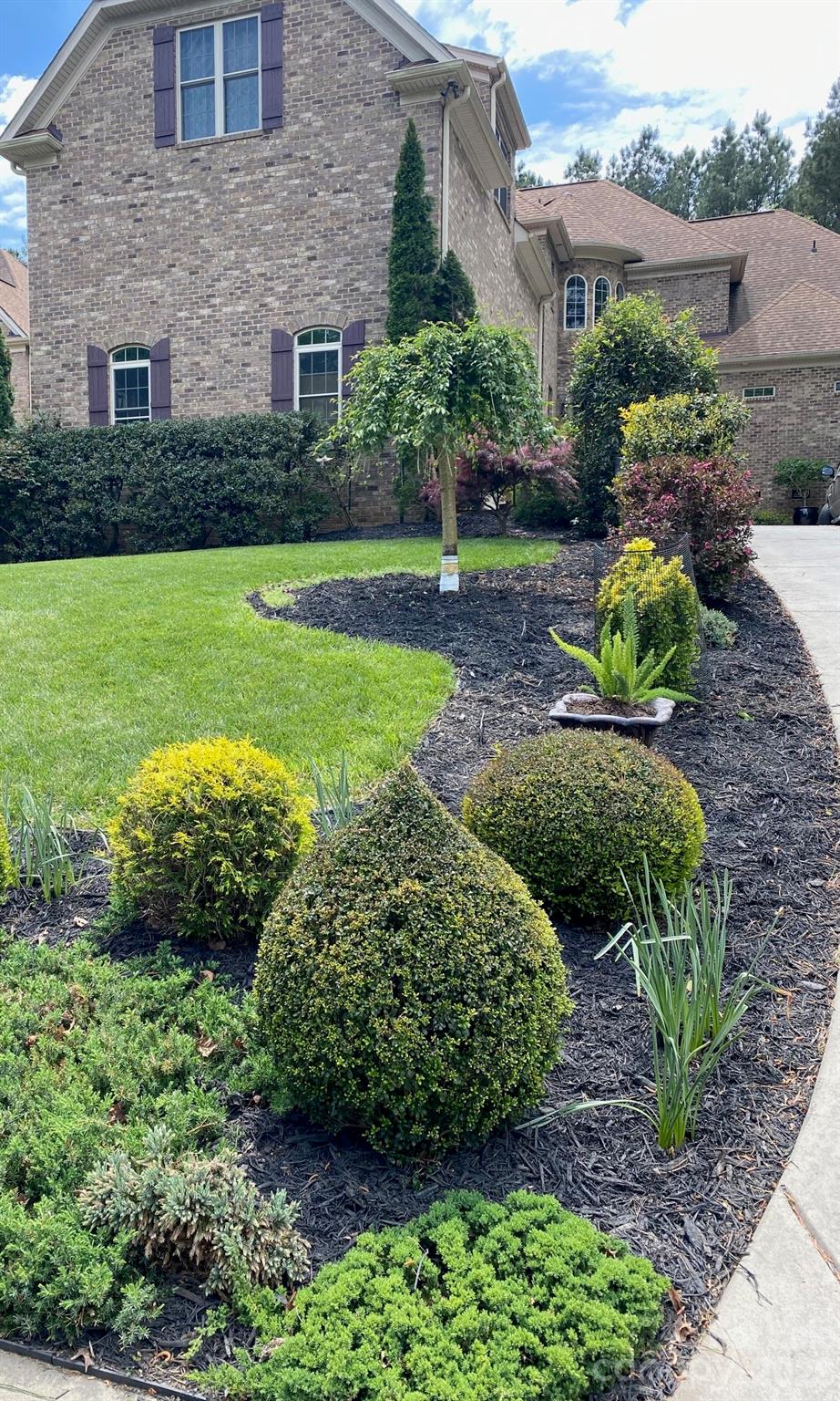 Palm Tree Cove - Residential