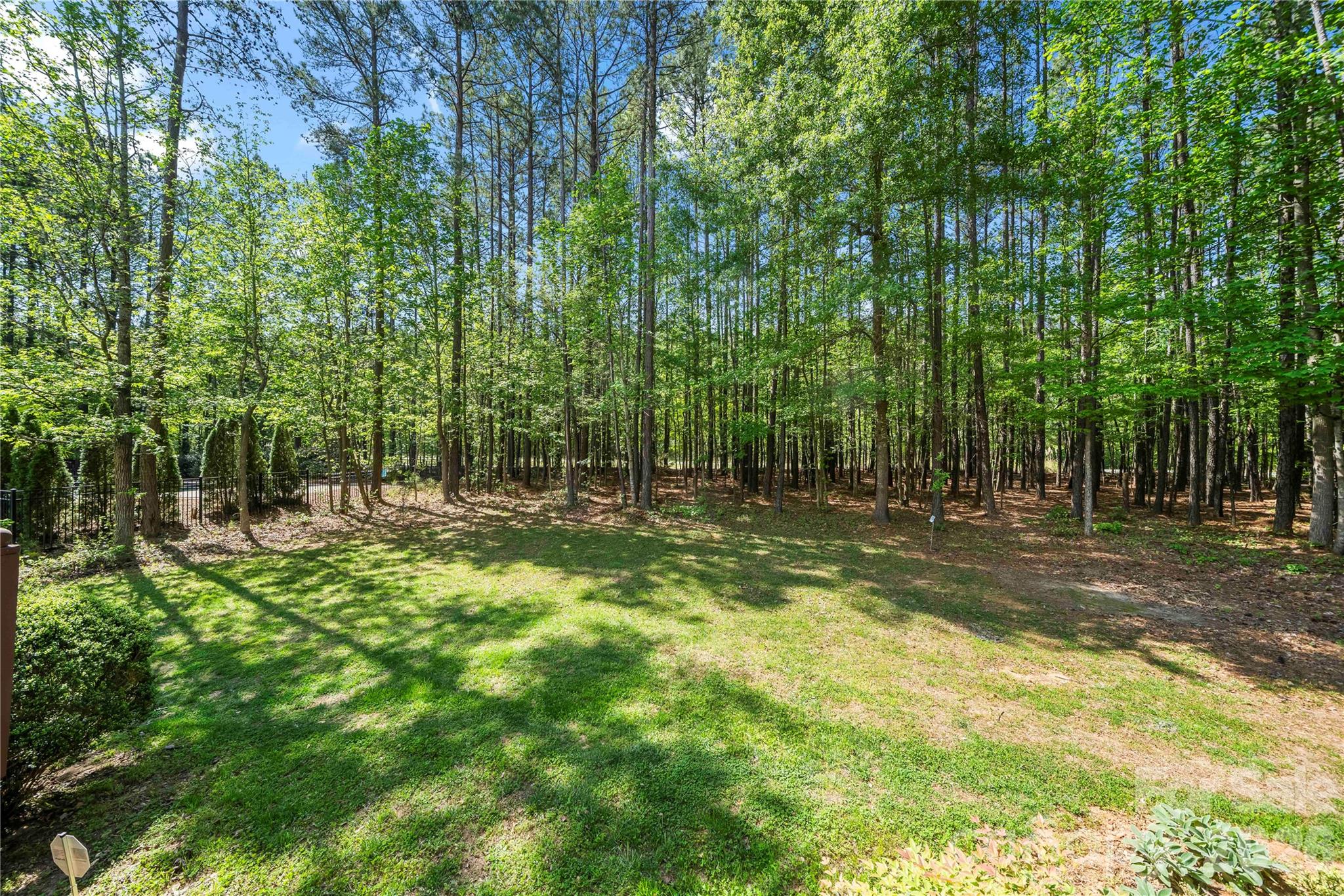 Palm Tree Cove - Residential