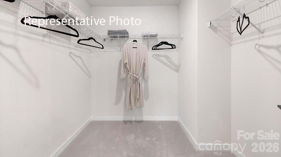 Oak Grove Hill - Residential