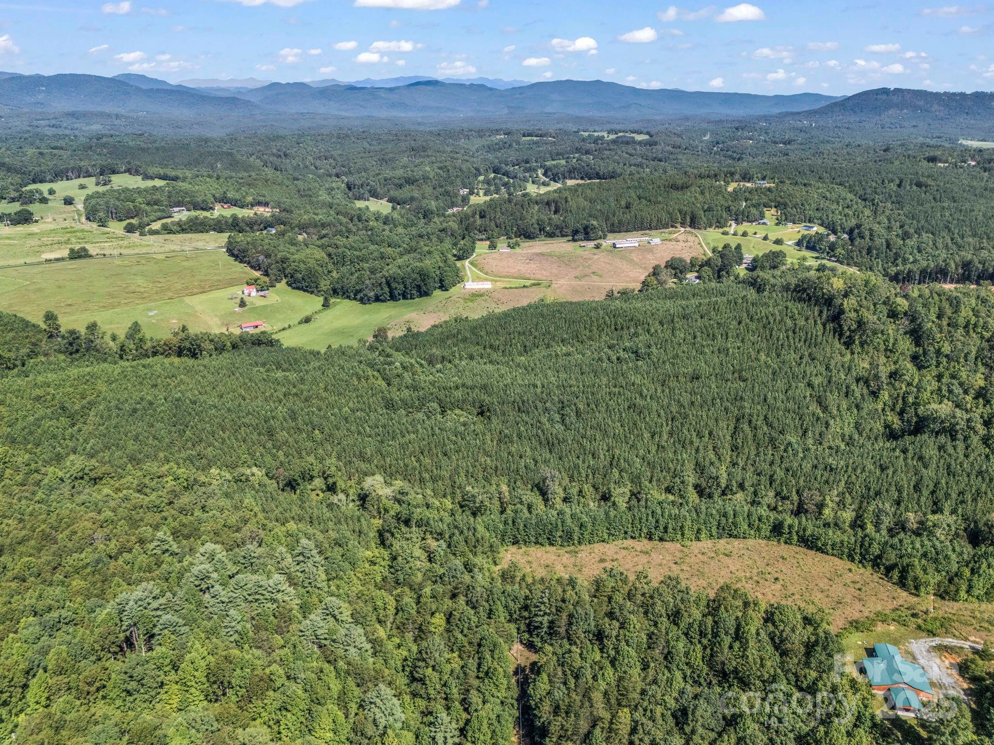 83.67 Acres Pleasant Grove Road