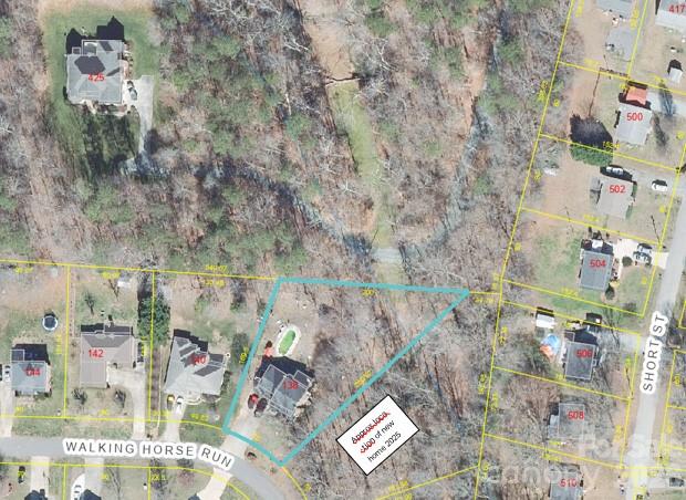 138 Walking Horse Run