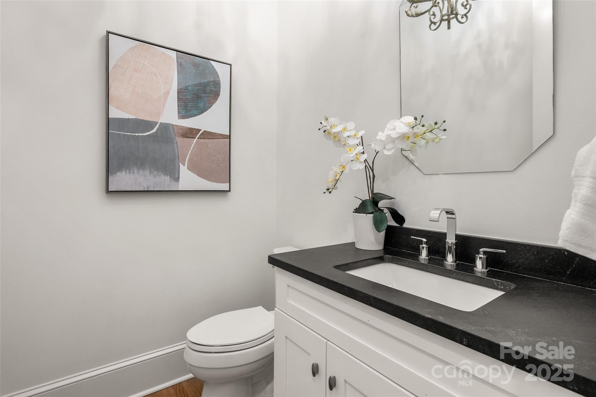 Ballantyne Country Club - Residential