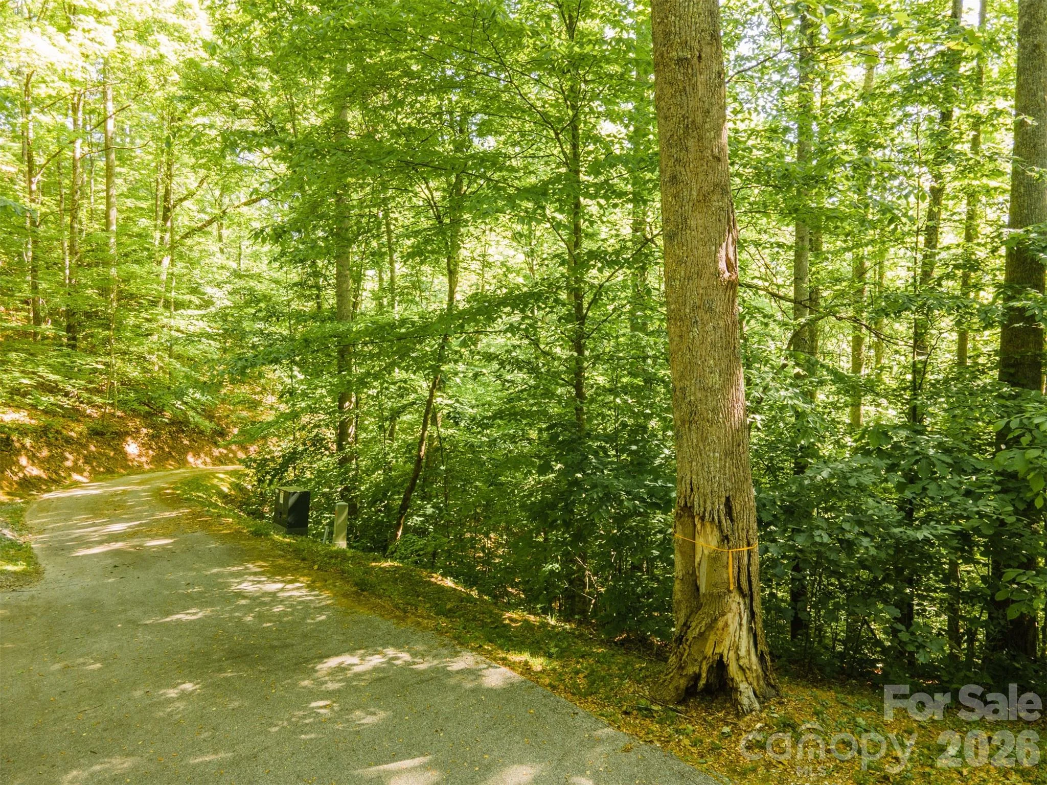 52 Morningside Drive Unit 52, Tuckasegee, NC, 28783