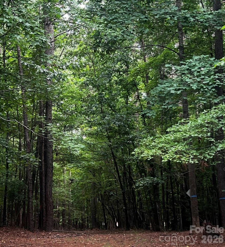 Beautiful Estate Lot with 8.96 acres to make this your private country sanctuary!  
Located just 2 miles from Historic downtown Waxhaw and conveniently located to many shopping centers and restaurants. Beautifully wooded acreage/lot with endless amount of opportunities to build your dream home. 
This is a prime location in Waxhaw with lower Union County taxes!