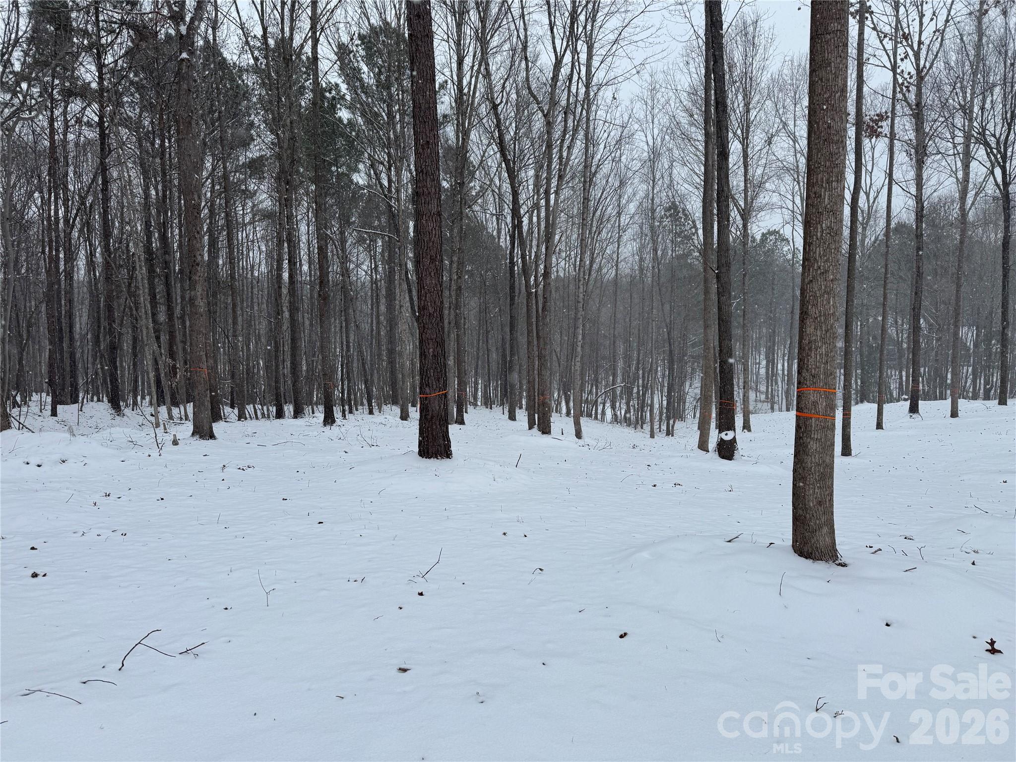 2209 Green View Drive 18