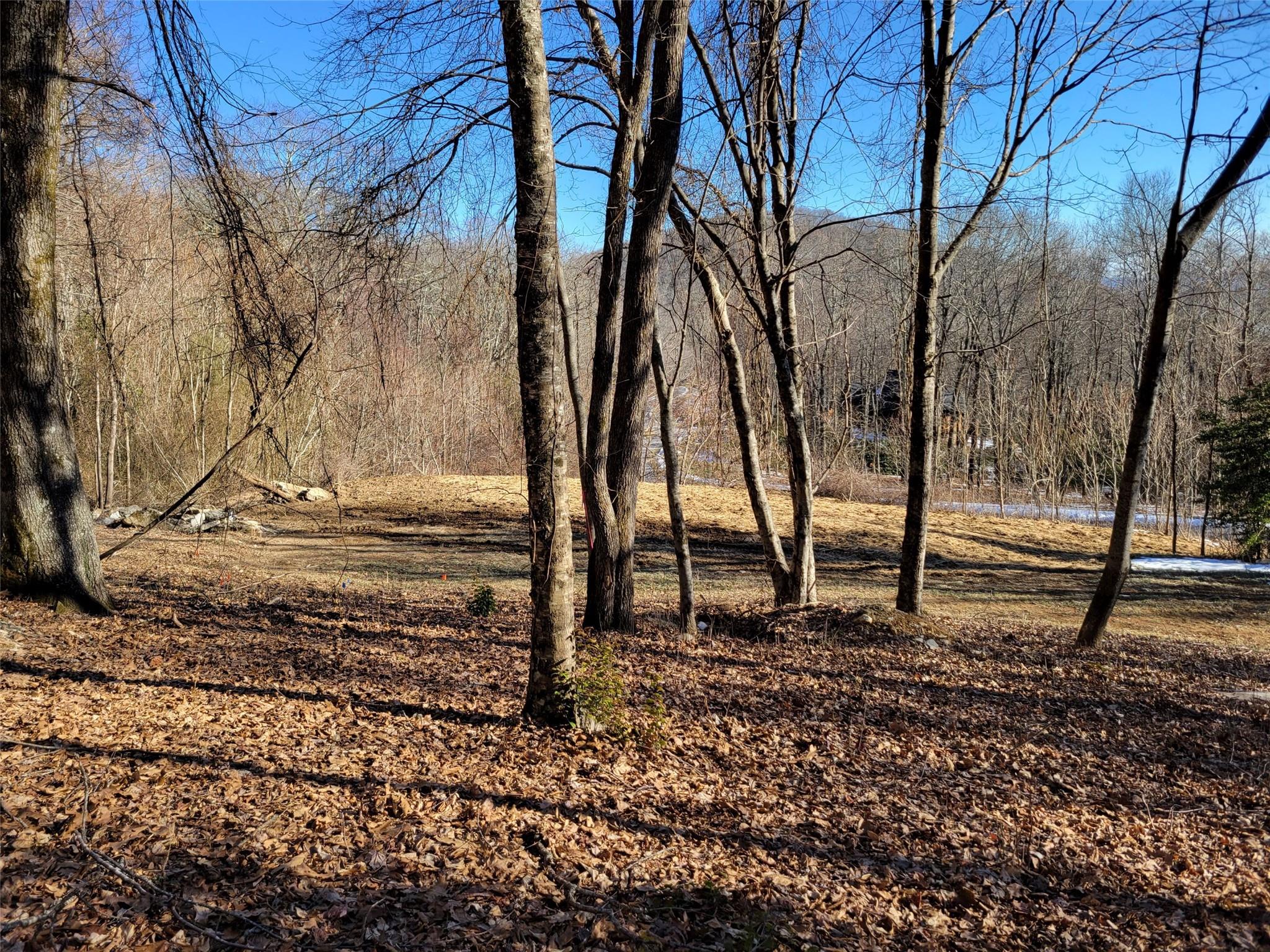 Grand Highlands at Bearwallow - Land