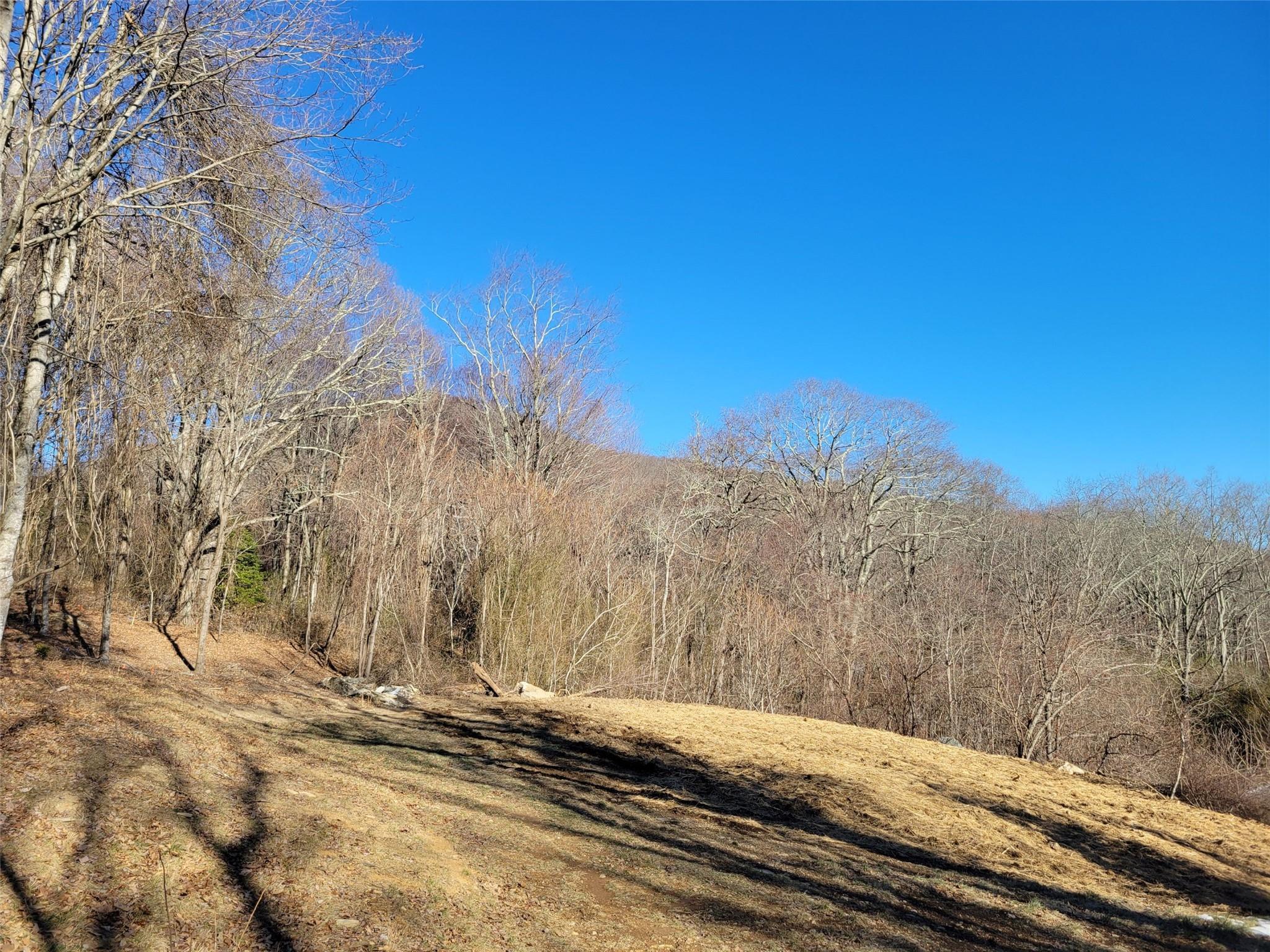 Grand Highlands at Bearwallow - Land