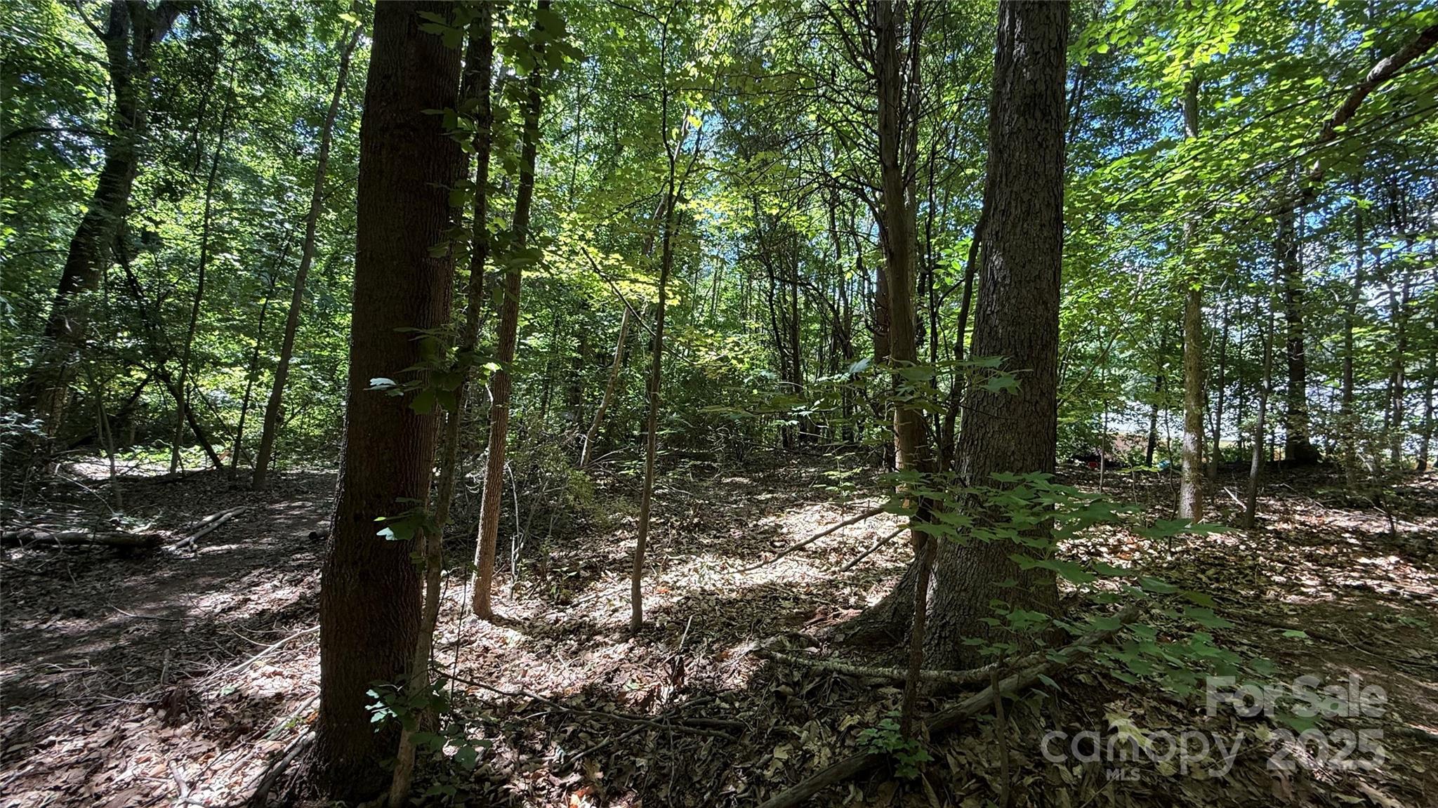 3906 Hubbard Road