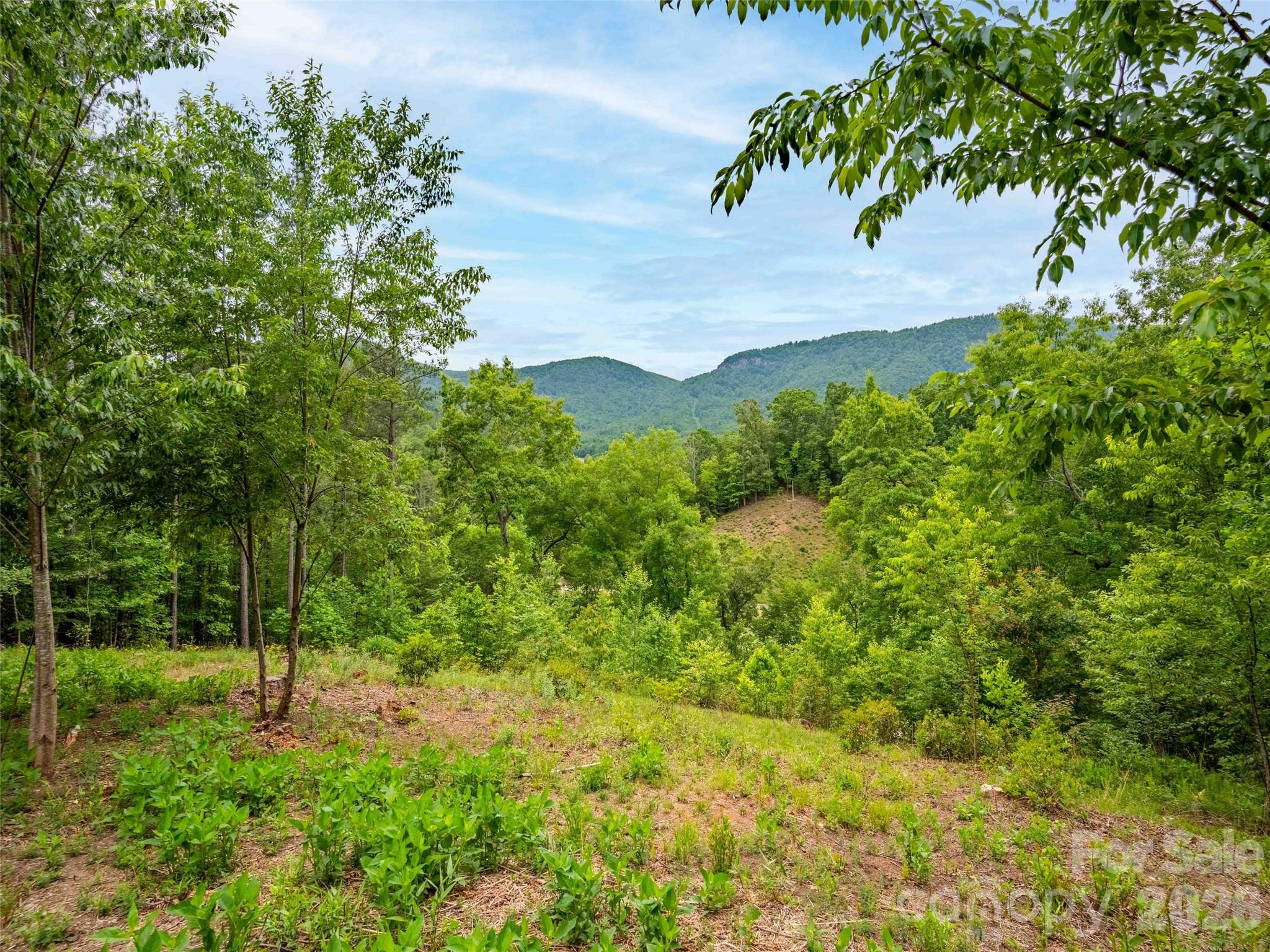 Lot 73 Chestertown Drive 73