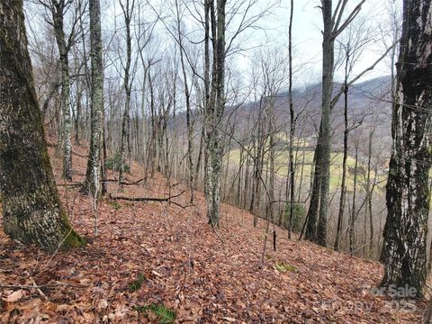 820 Chestnut Flats Lane 4 Waynesville NC 28786