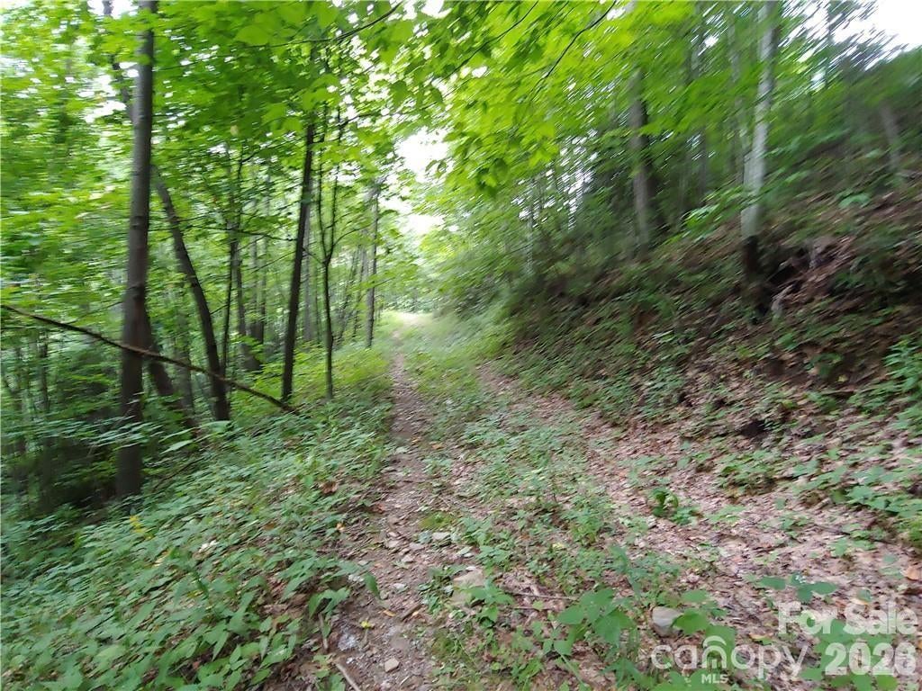 24 Tater Patch Road