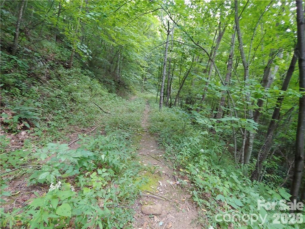 24 Tater Patch Road