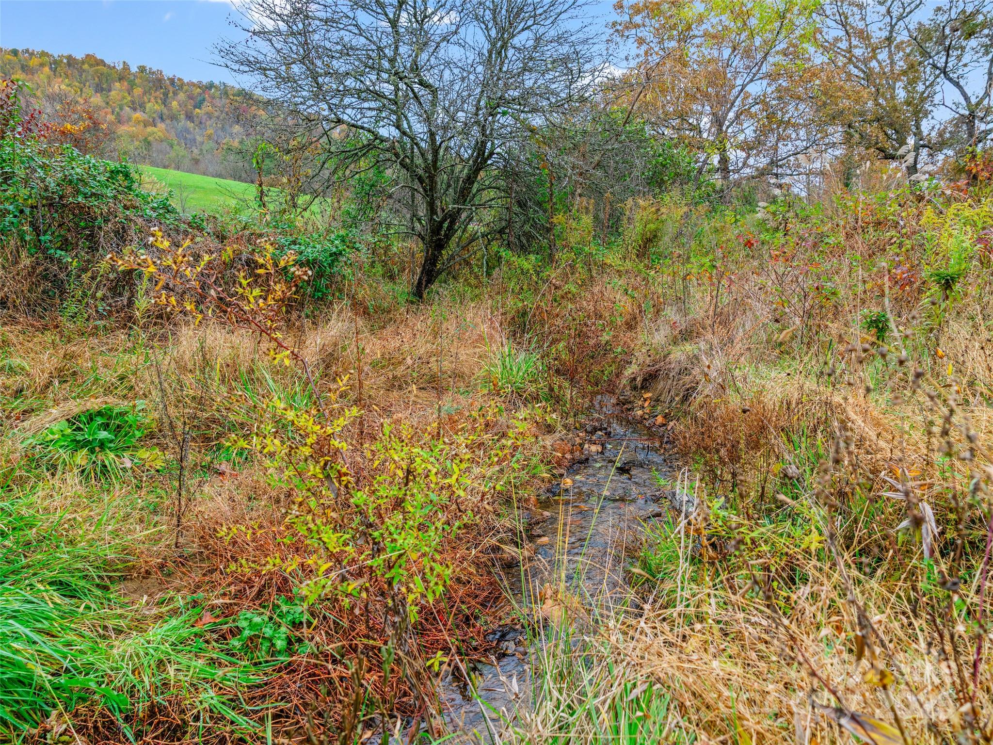 1659 Holcombe Branch Road