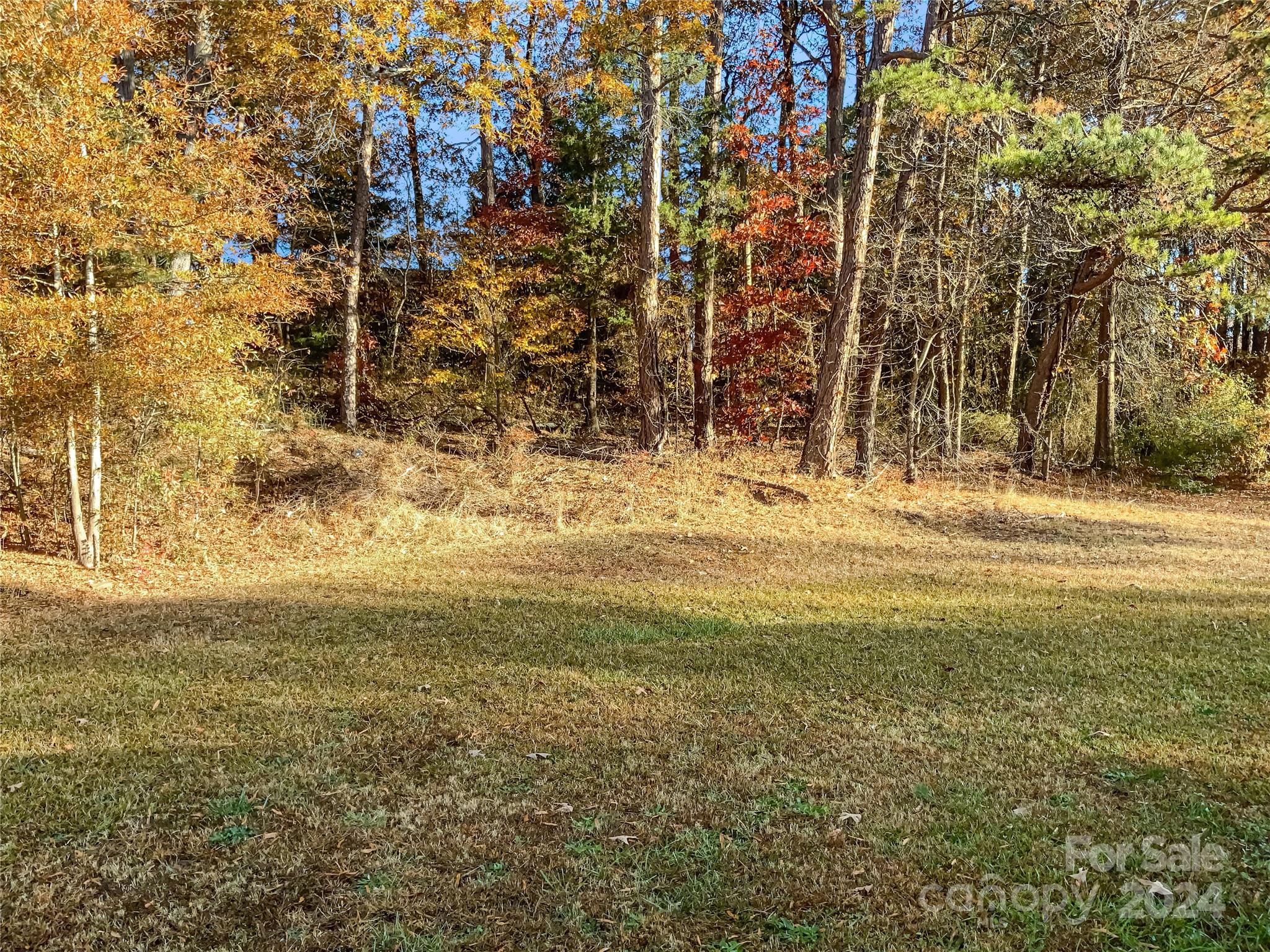 Dixie Park - Residential