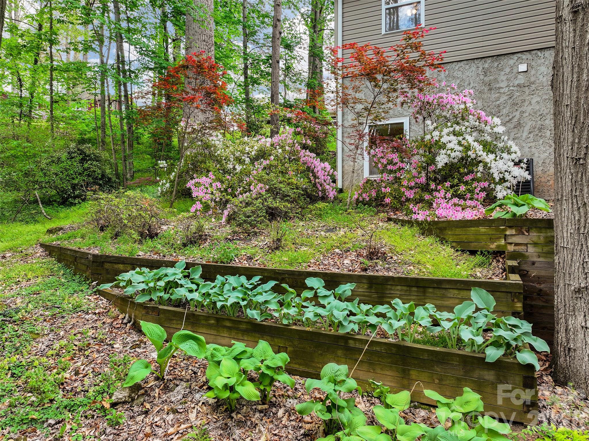 Lake Junaluska Assembly - Residential