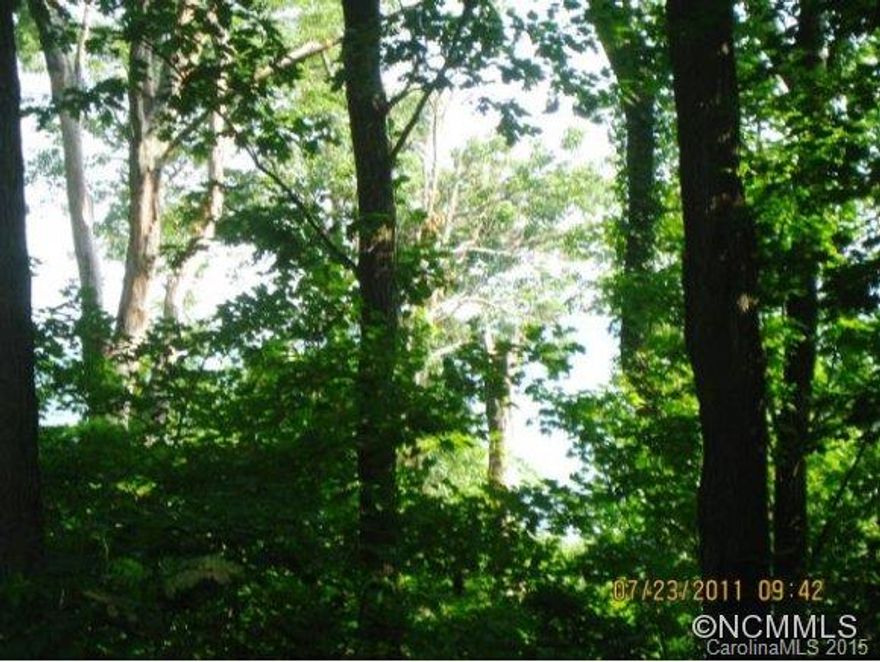 Envision sitting on your deck and enjoying the views of the mtns and twinkling of the city lights at night!  Cool breezes, encircle Laurel Park's Country Ridge Estate and the views are breathtaking.  Build your home and nestle it in the woods and tranquility.  MOTIVATED.  Acreage MOL.Owner is a licensed Real Estate broker.