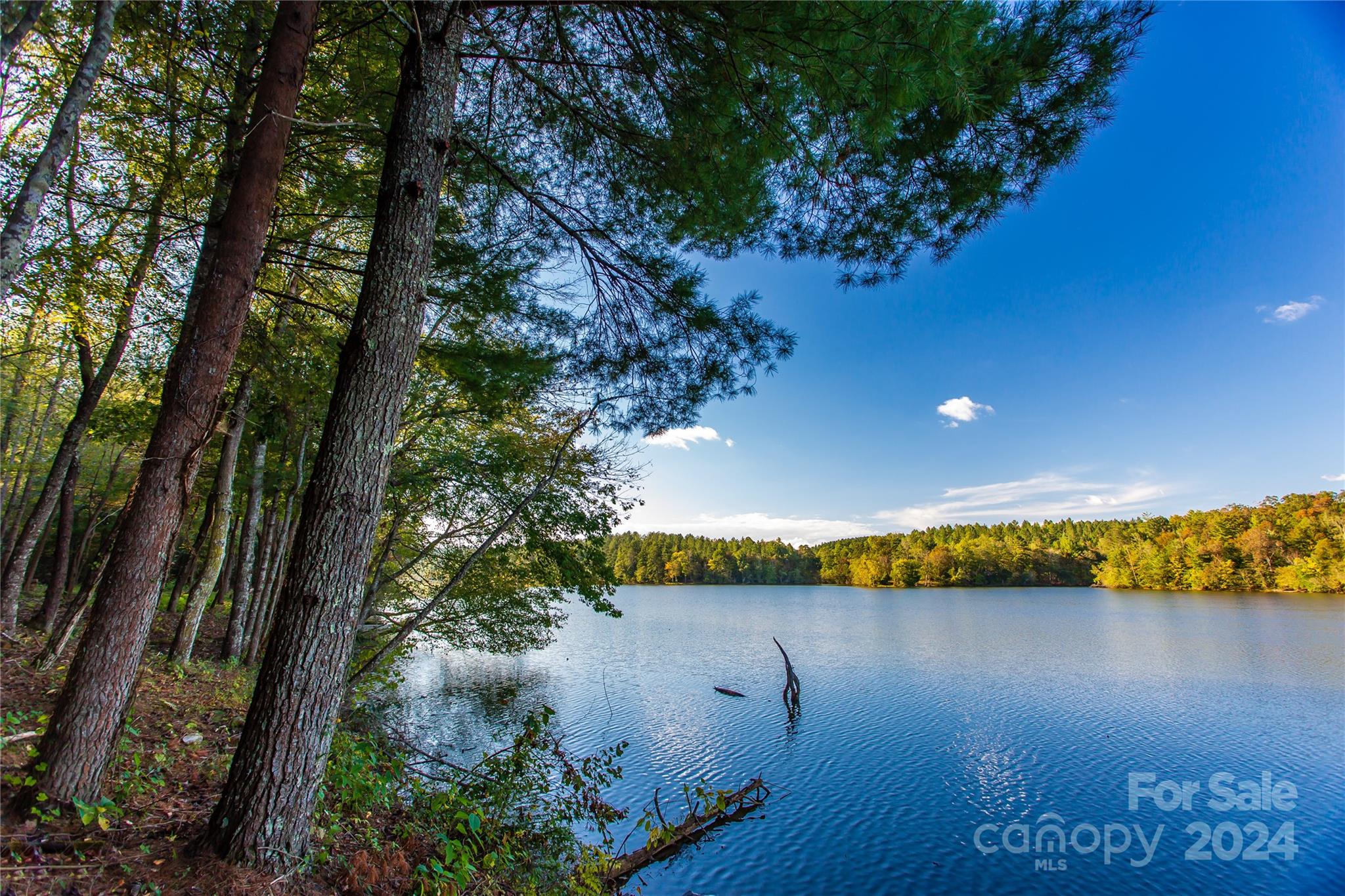 Lake Rhodhiss Estates - Land
