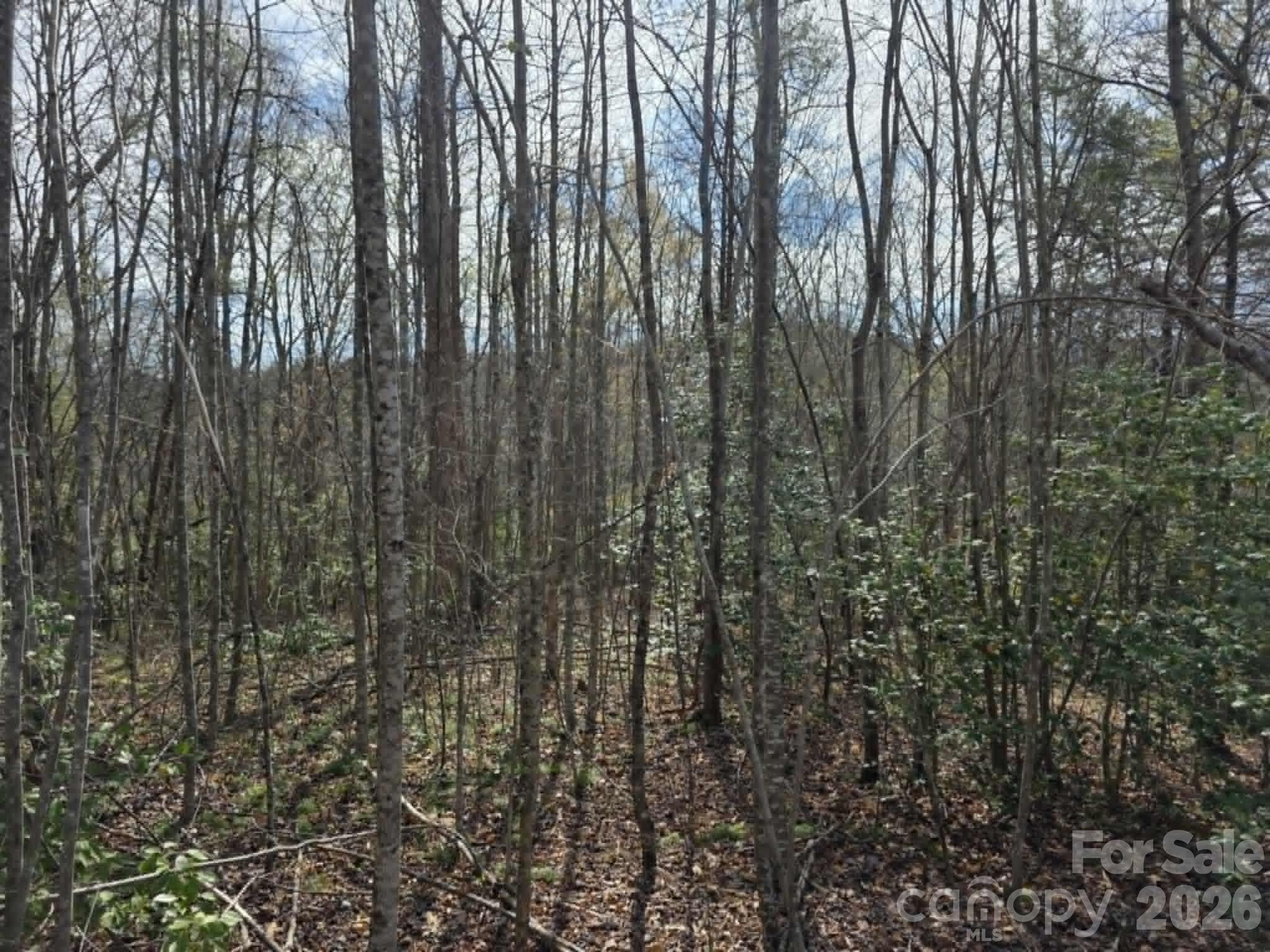 Lot 5 Kerlee Lane