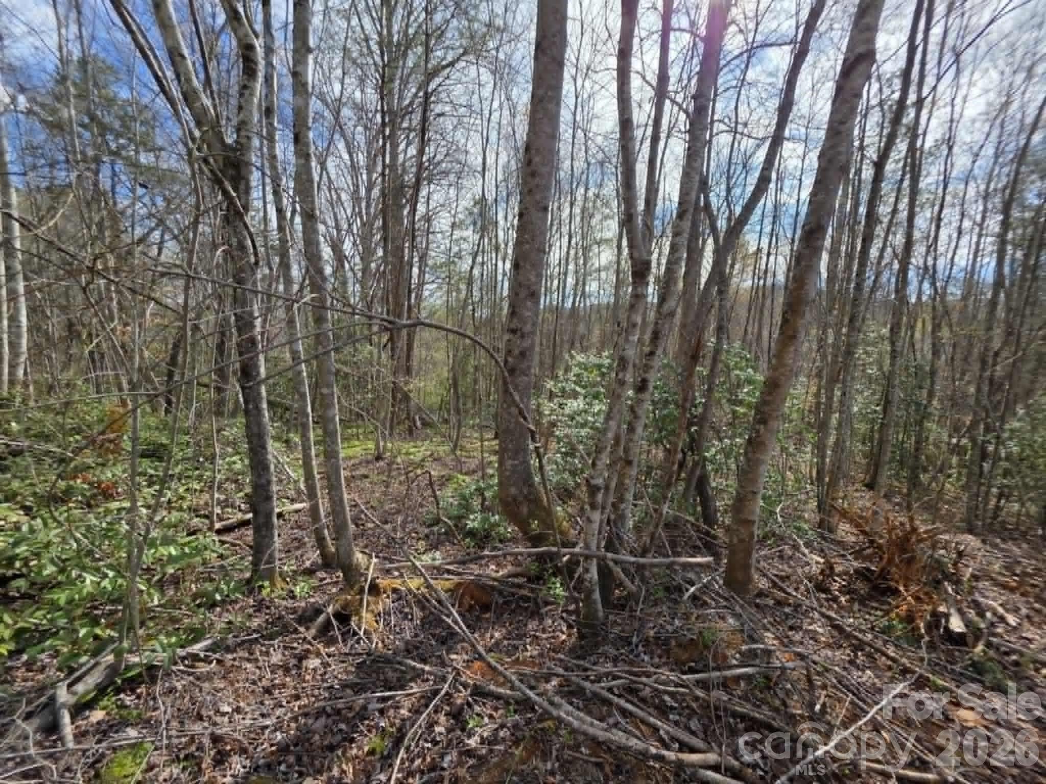 Lot 5 Kerlee Lane