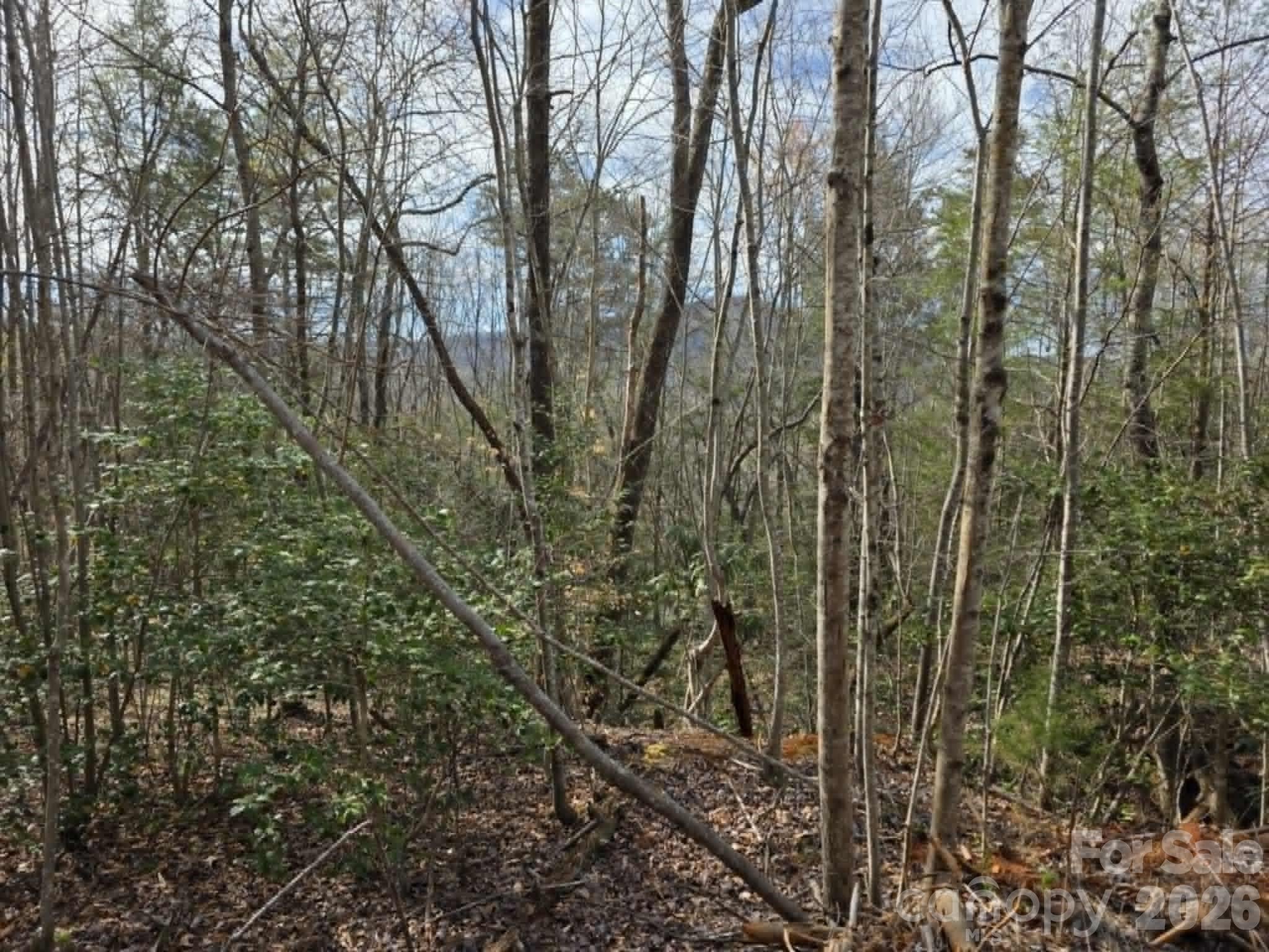 Lot 5 Kerlee Lane