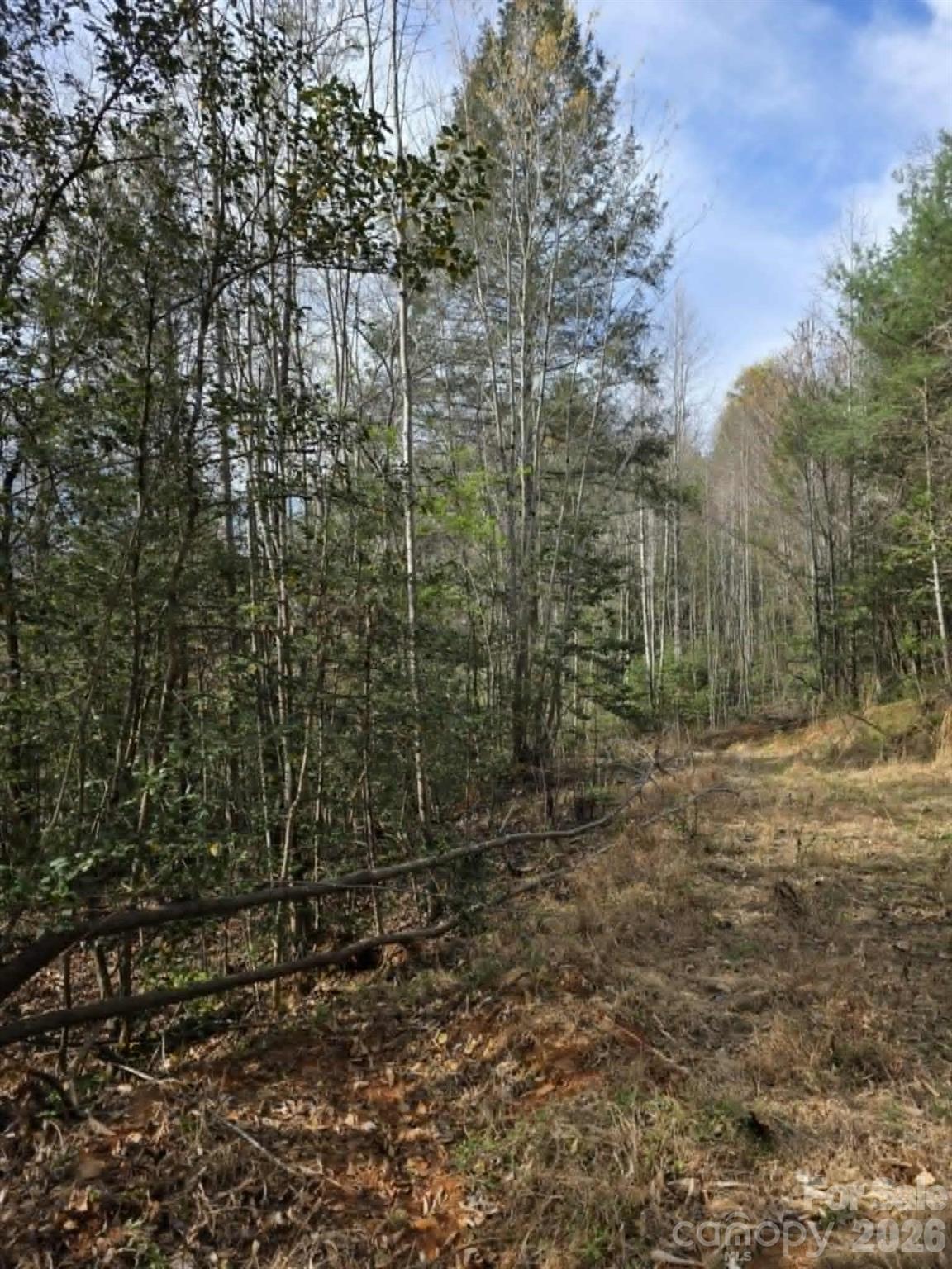 Lot 5 Kerlee Lane