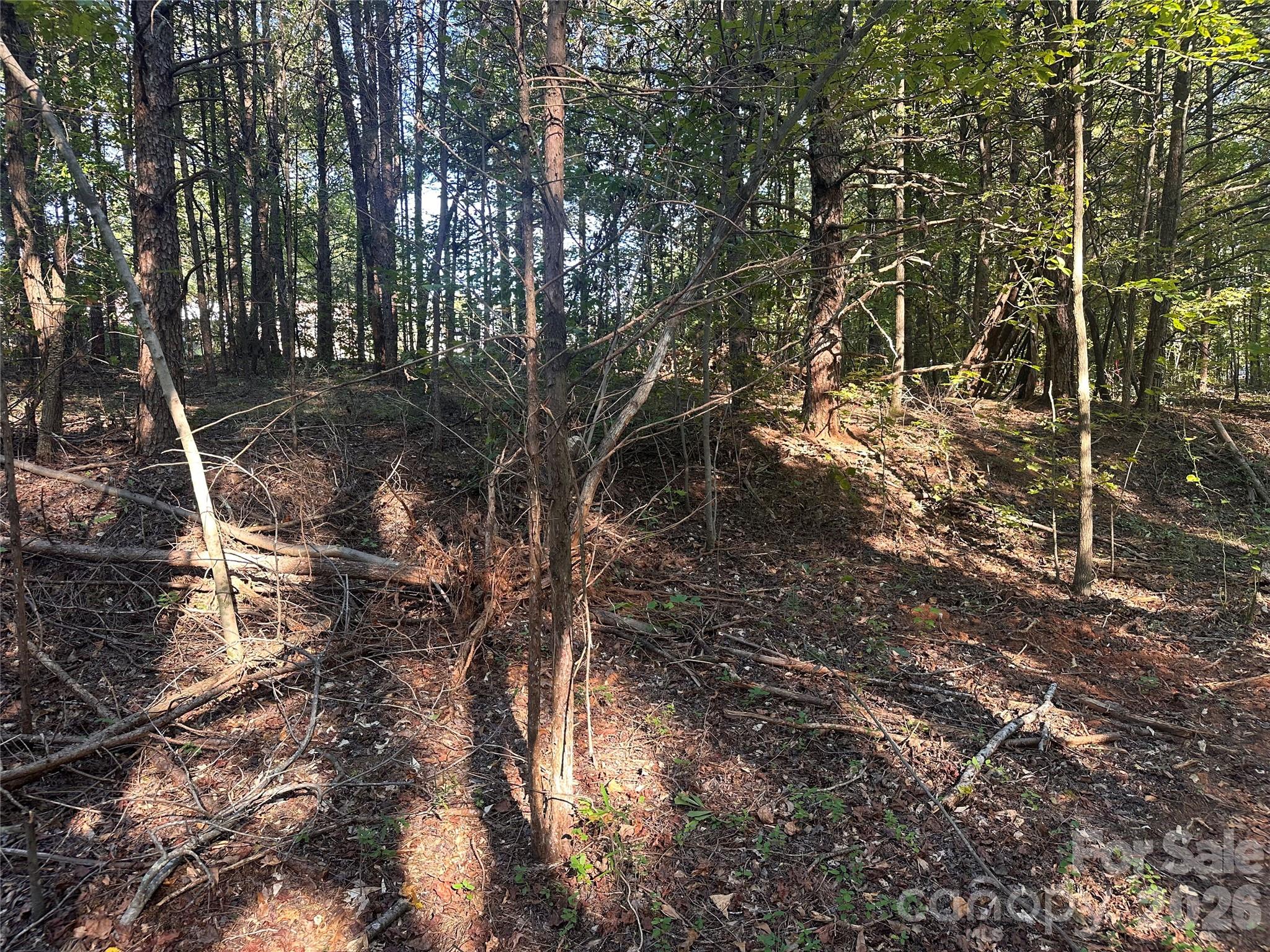 86 Sunrise Trail