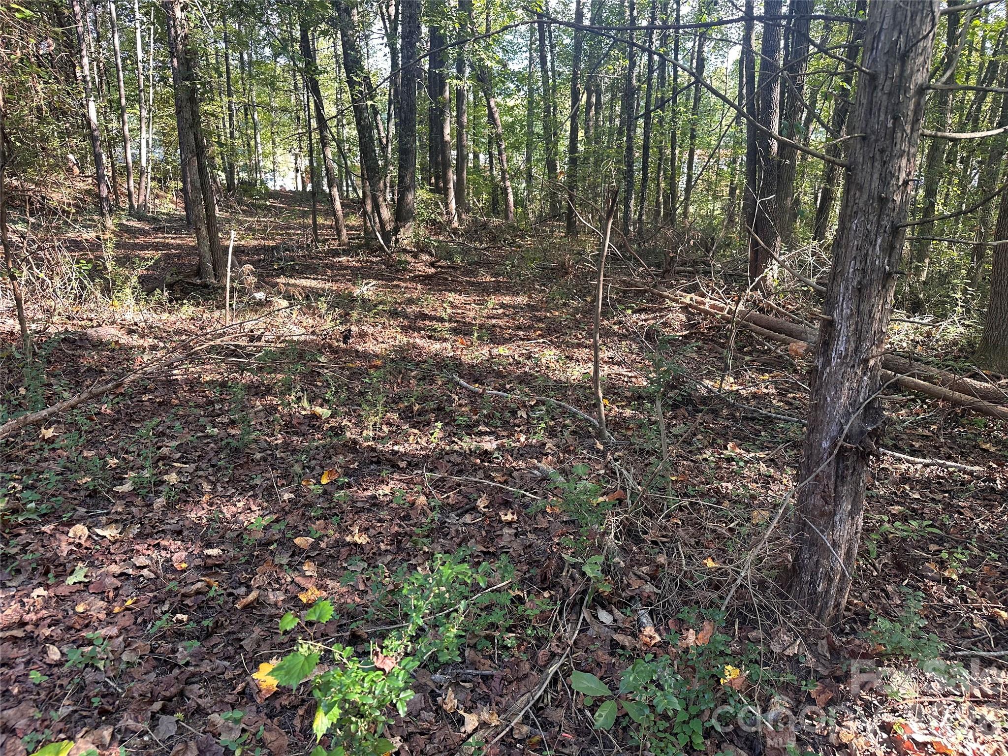 86 Sunrise Trail