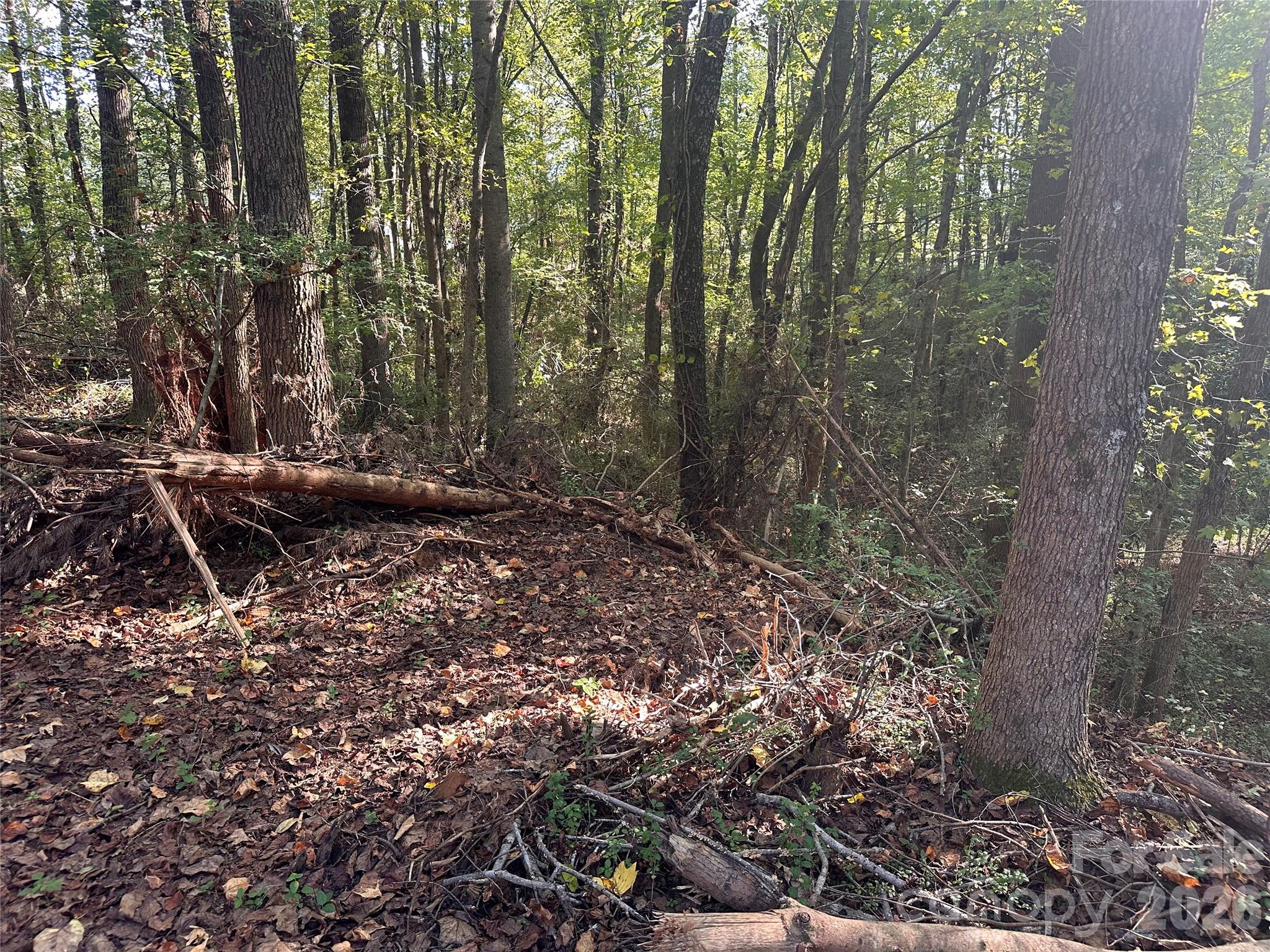 86 Sunrise Trail