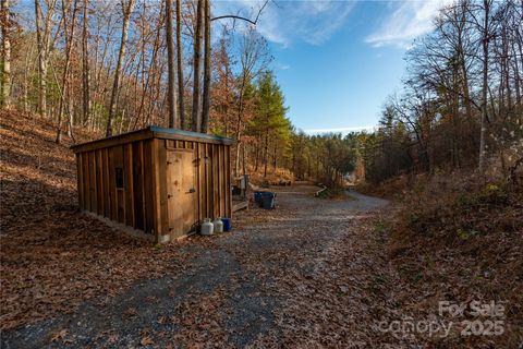 Photo of 726 Lower White Oak Road, Marshall, NC 28753 (MLS # 4329123)