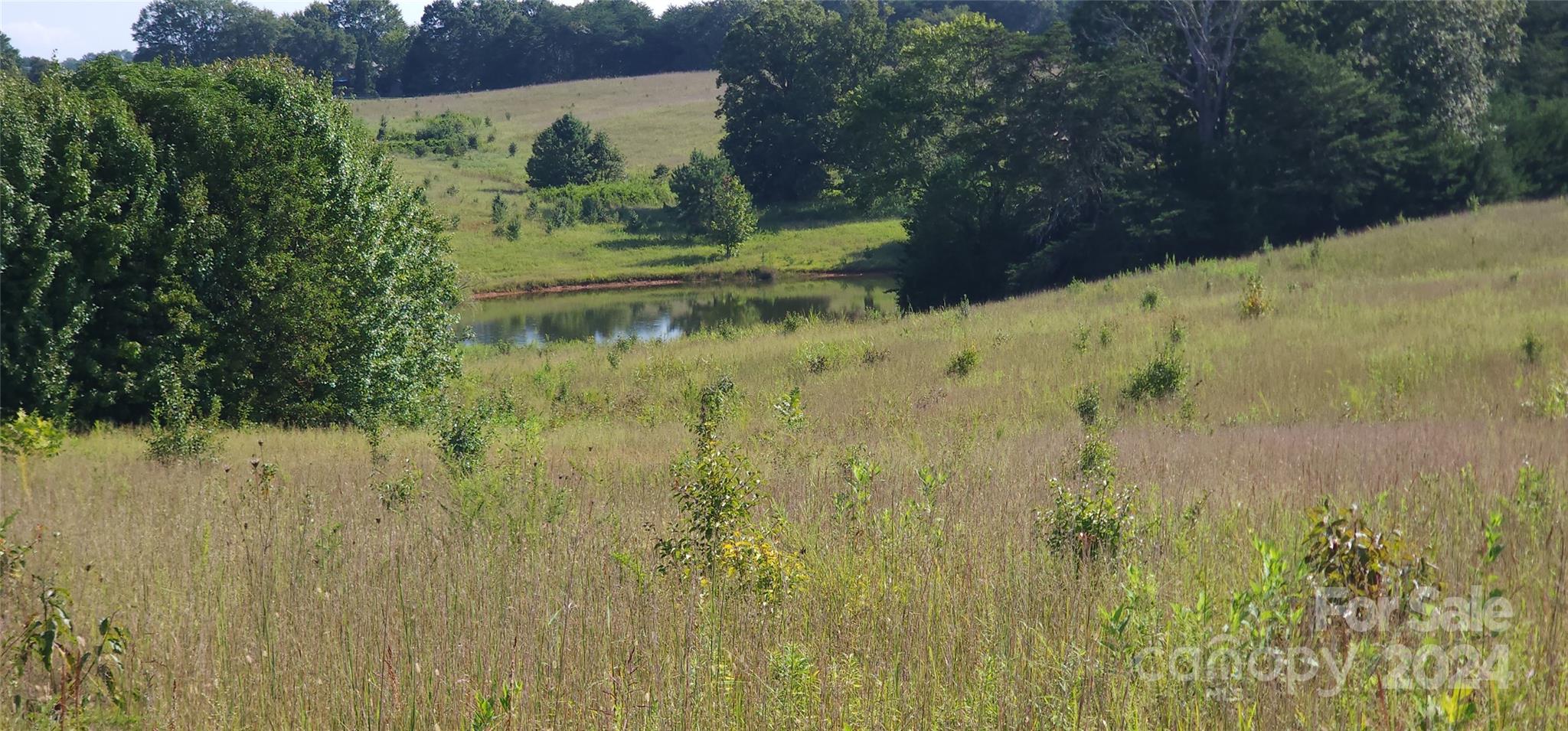 The Farms at Mill Spring - Land