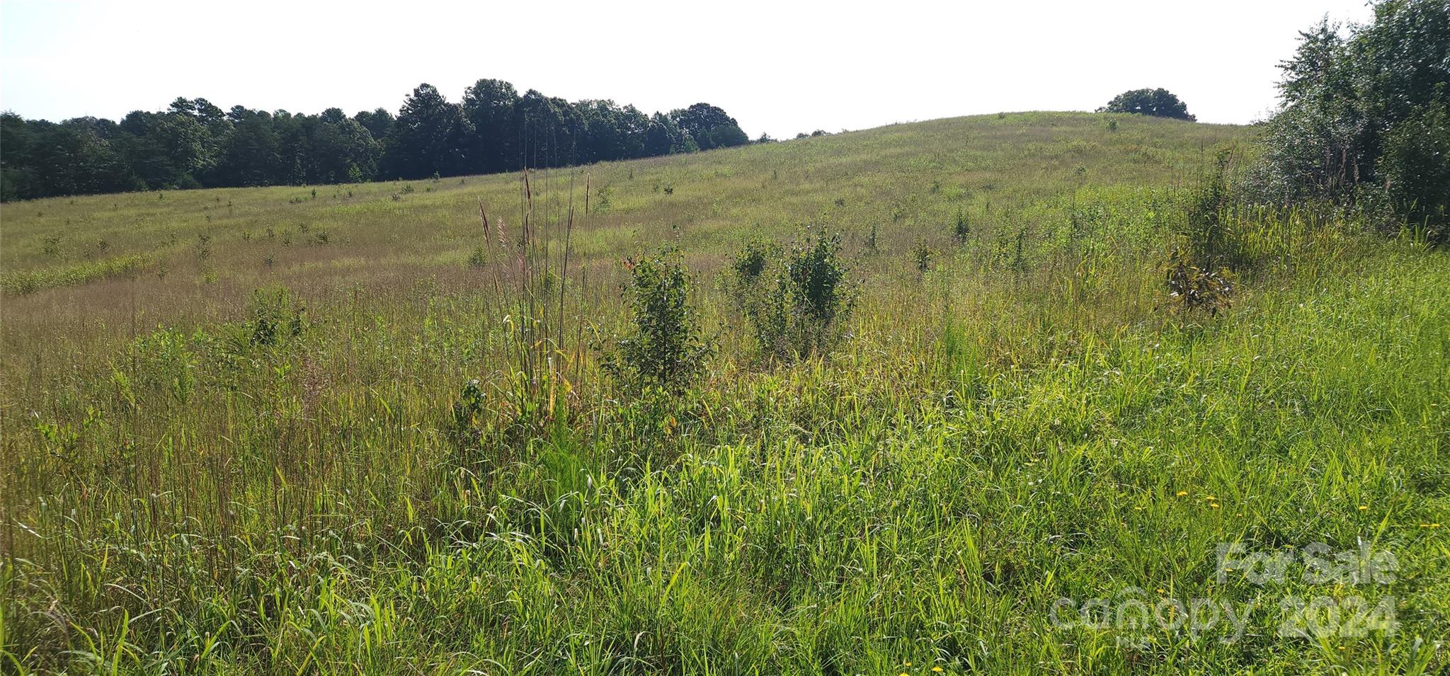 The Farms at Mill Spring - Land