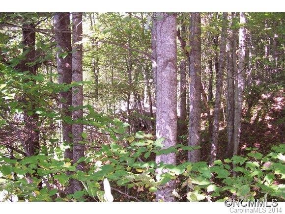 Chestnut Ridge - Residential