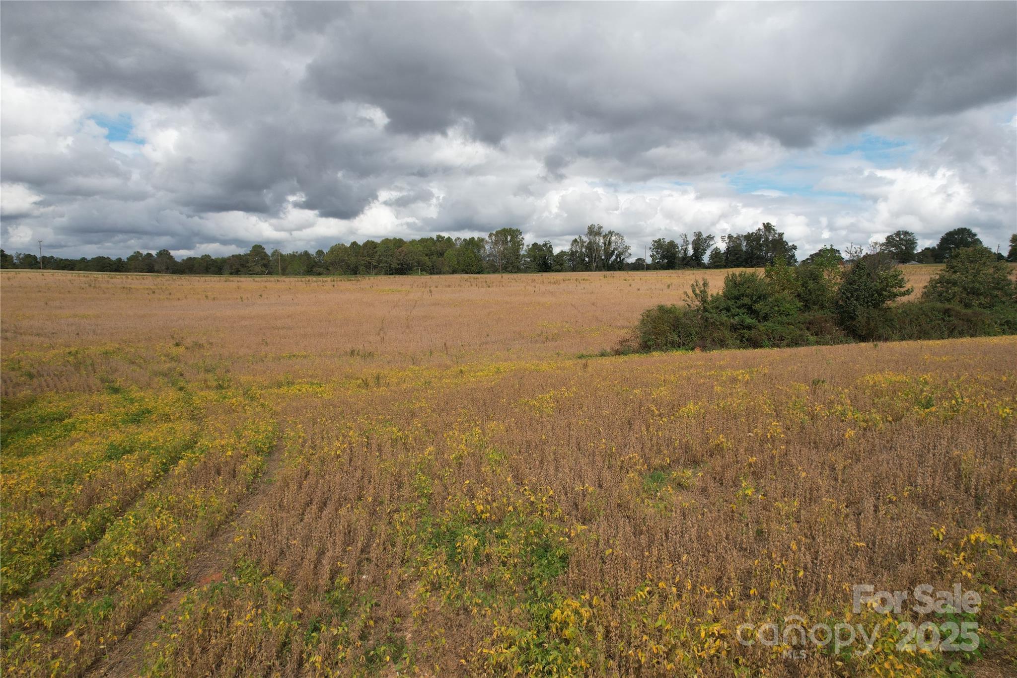 1642 Rehobeth Church Road