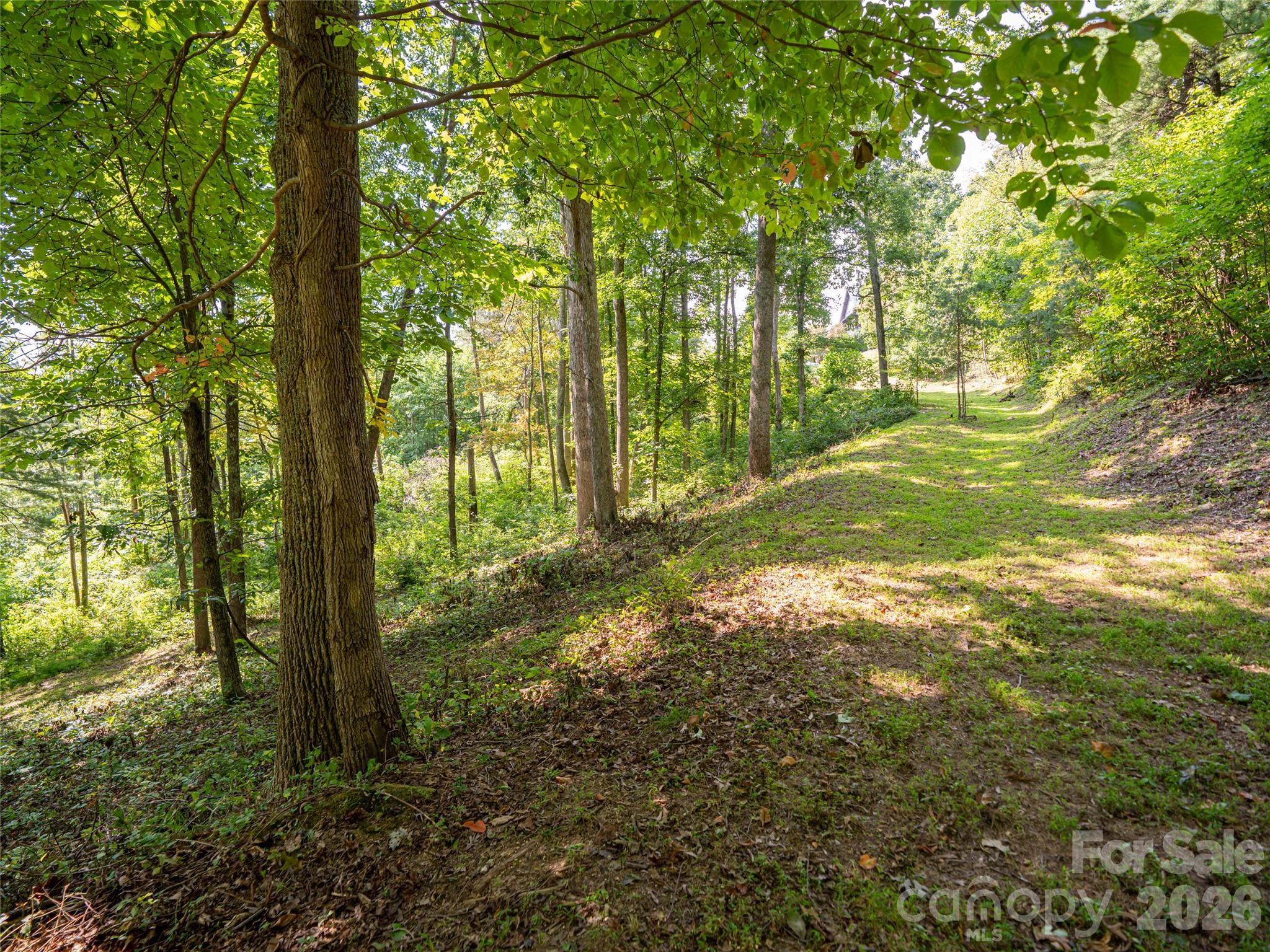 Reynolds Mountain - Land