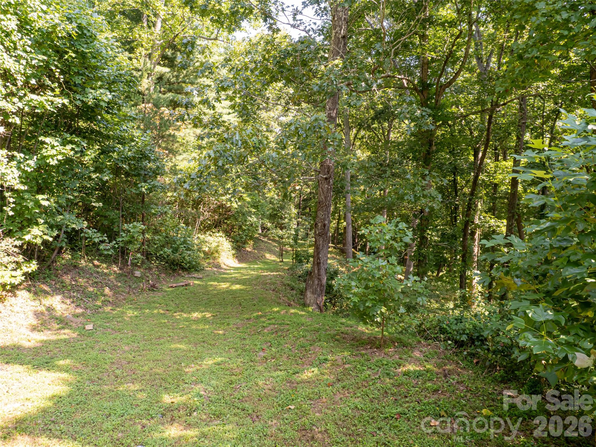 Reynolds Mountain - Land